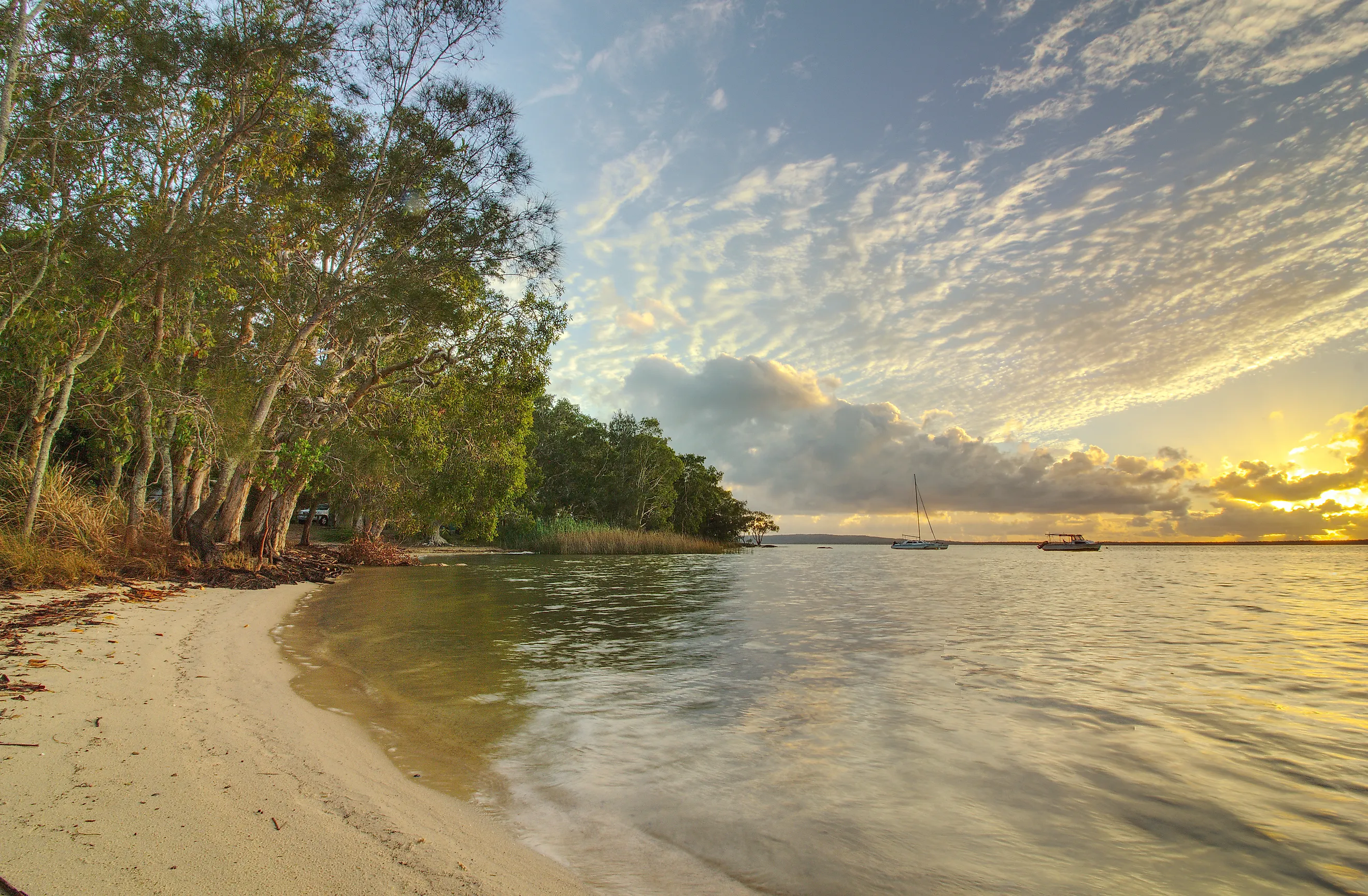 The Lake Cootharaba landscape in Boreen Point, Queensland. 