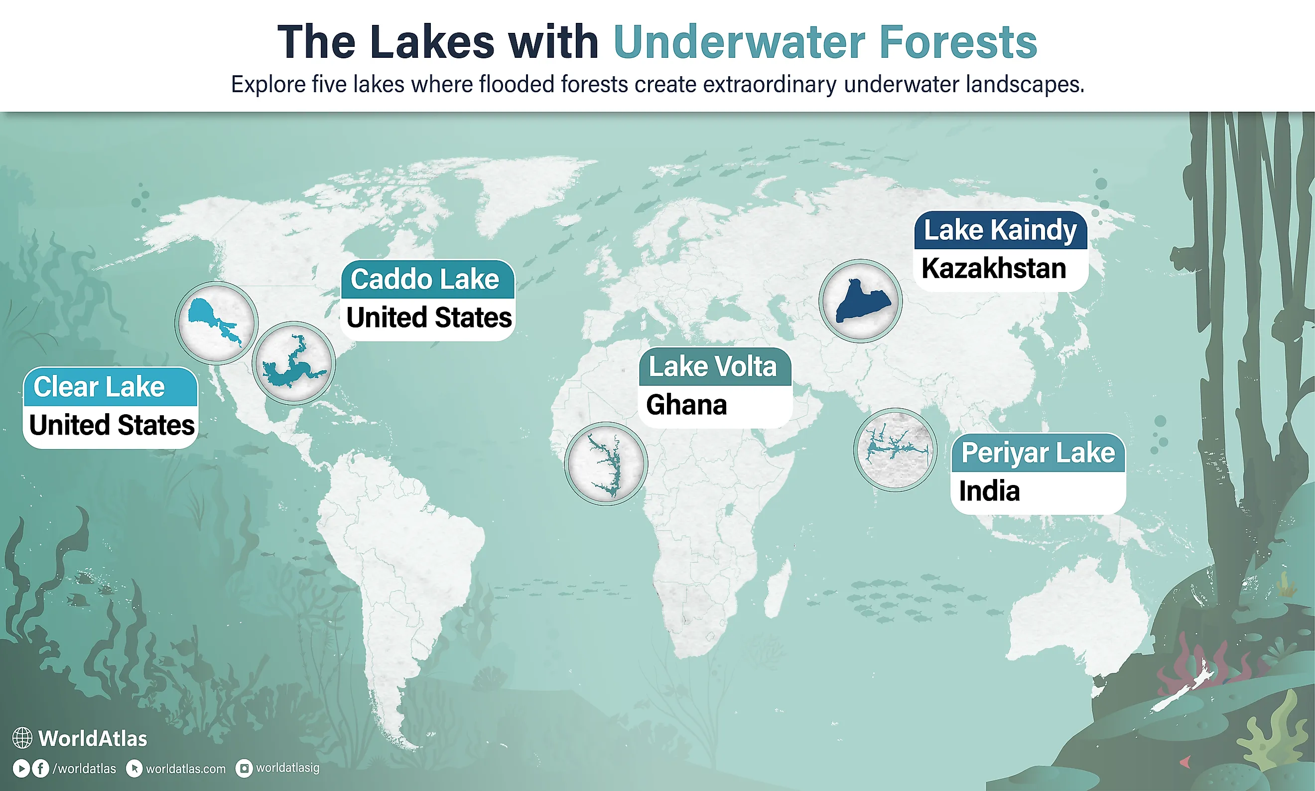 Infographic of the lakes with underwater forests. 