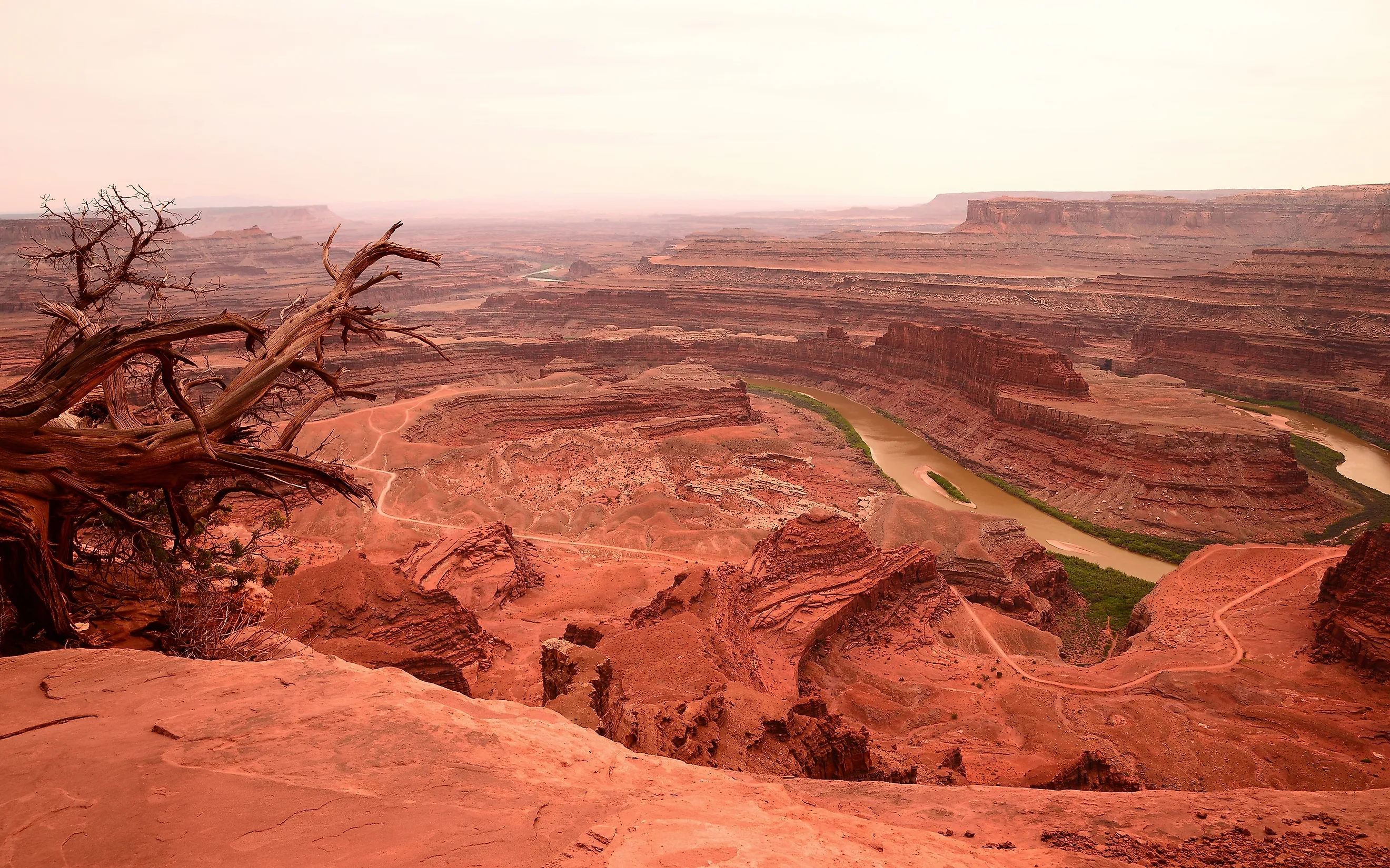 Dead Horse Point State Park with bike trails. 