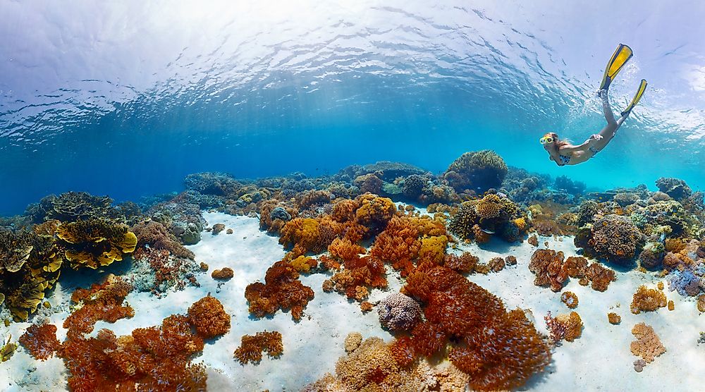 Corales Islas del Rosario was established in 1988 for the purpose of protecting coral reefs in the region.