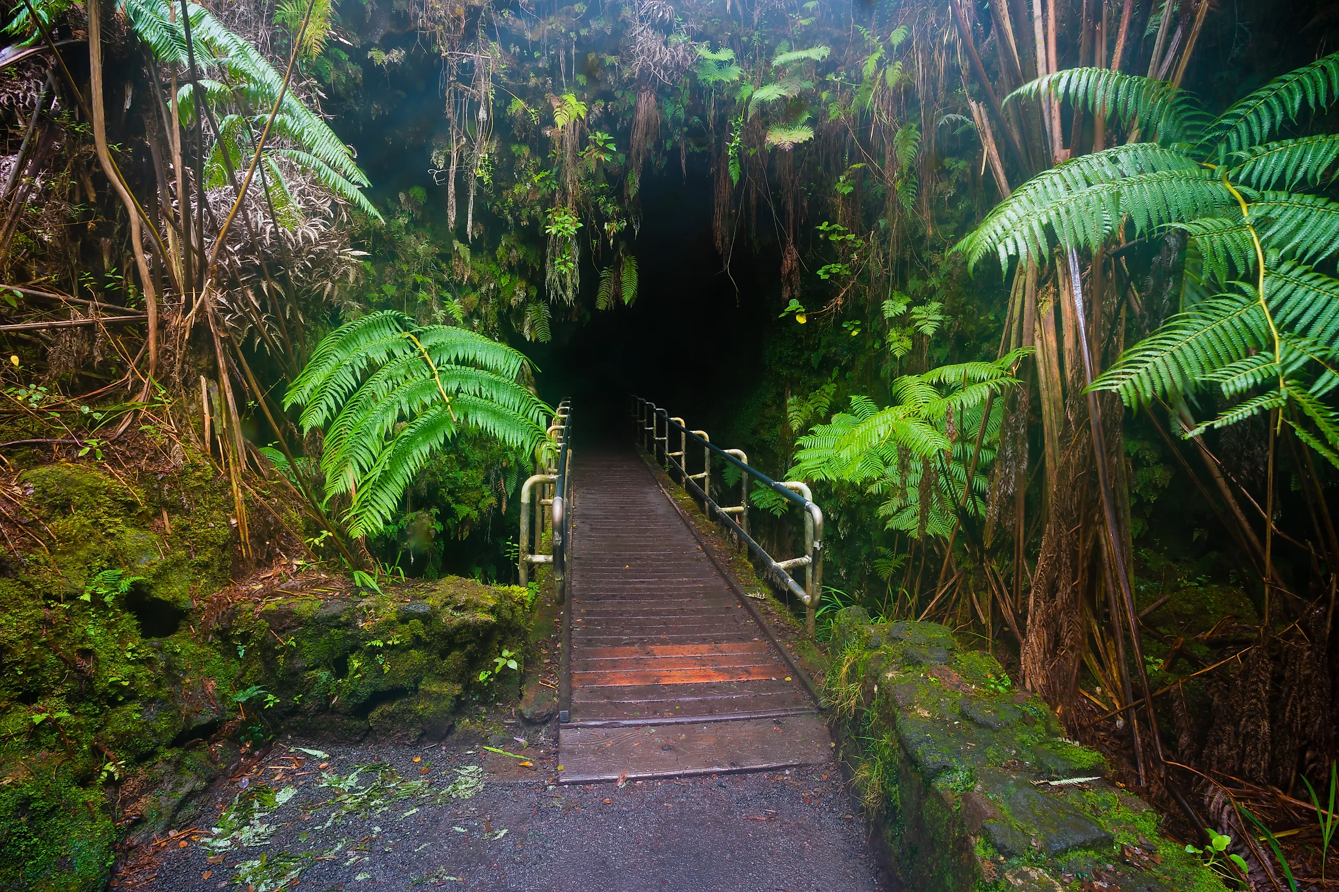 Darkness in the Thurston Lava Tube in Hawaii Volcanoes National Park on the Big Island.