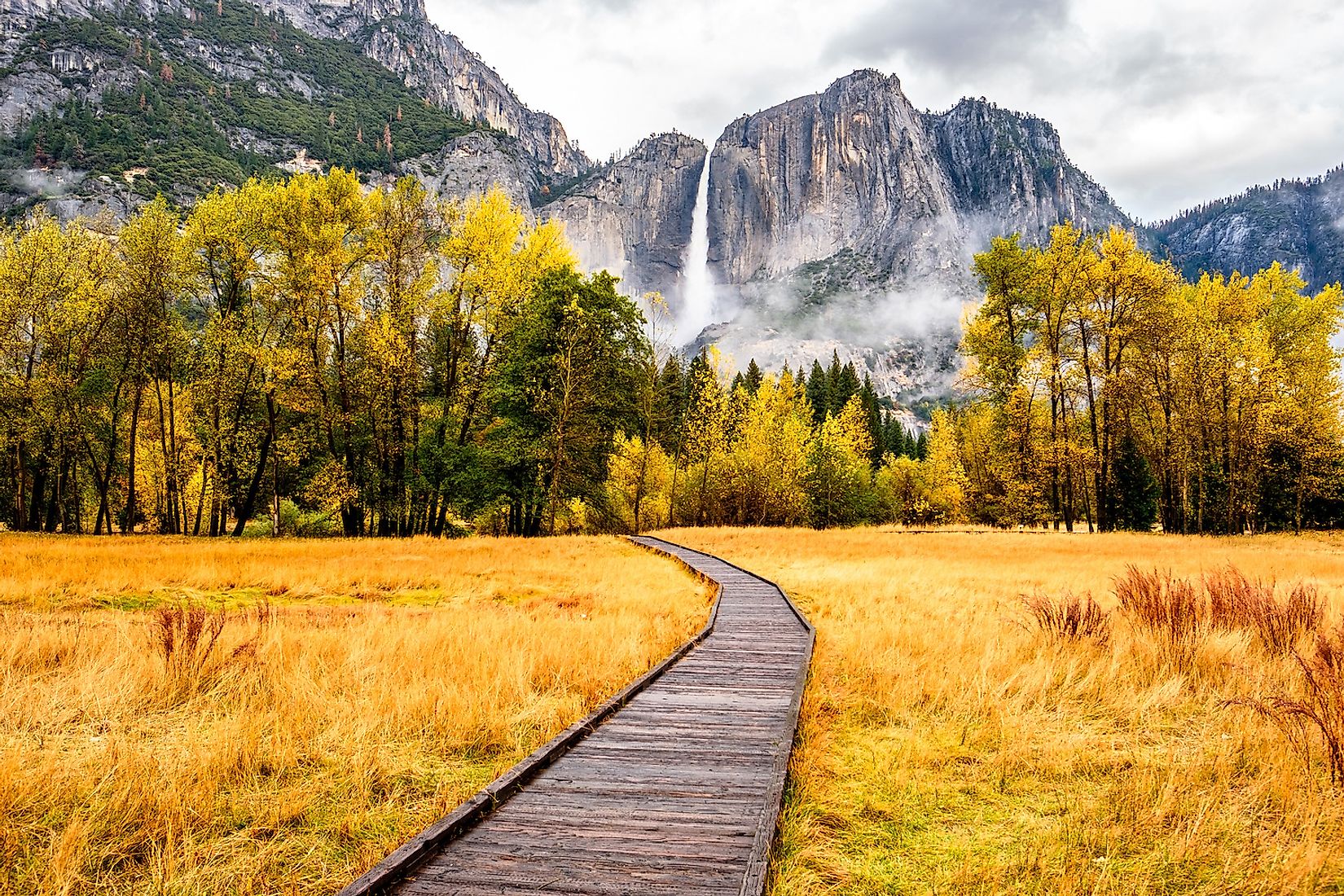 Fall colors in Yosemite National Park.