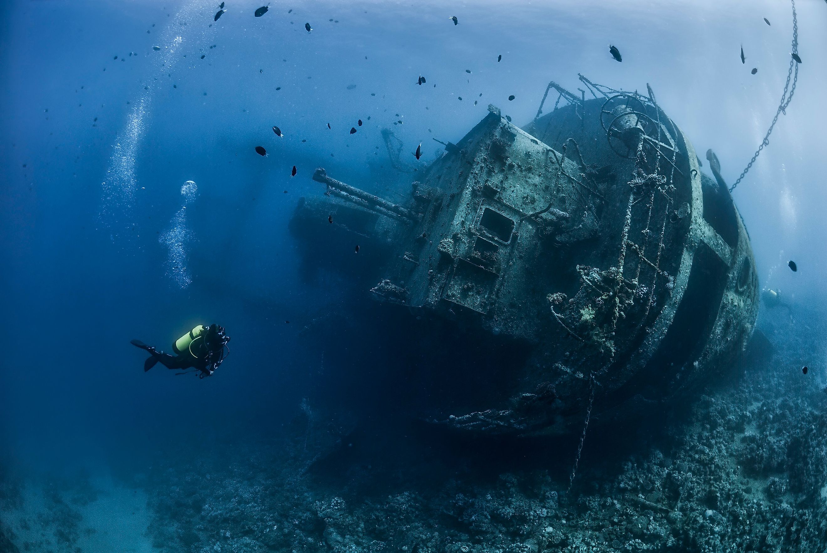 Divers exploring the shipwreck in the Jordan Red Sea. 