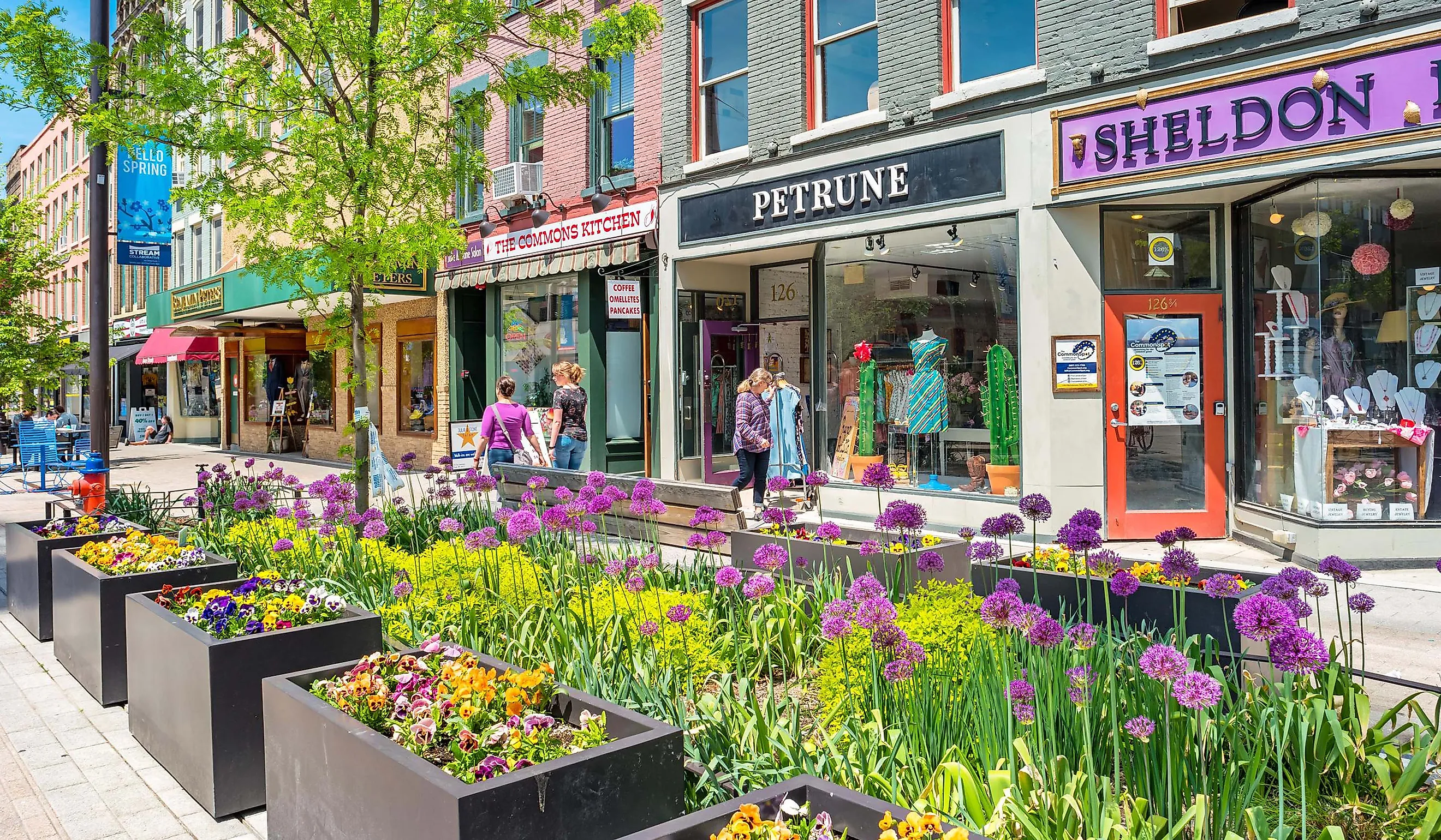 Ithaca, New York.