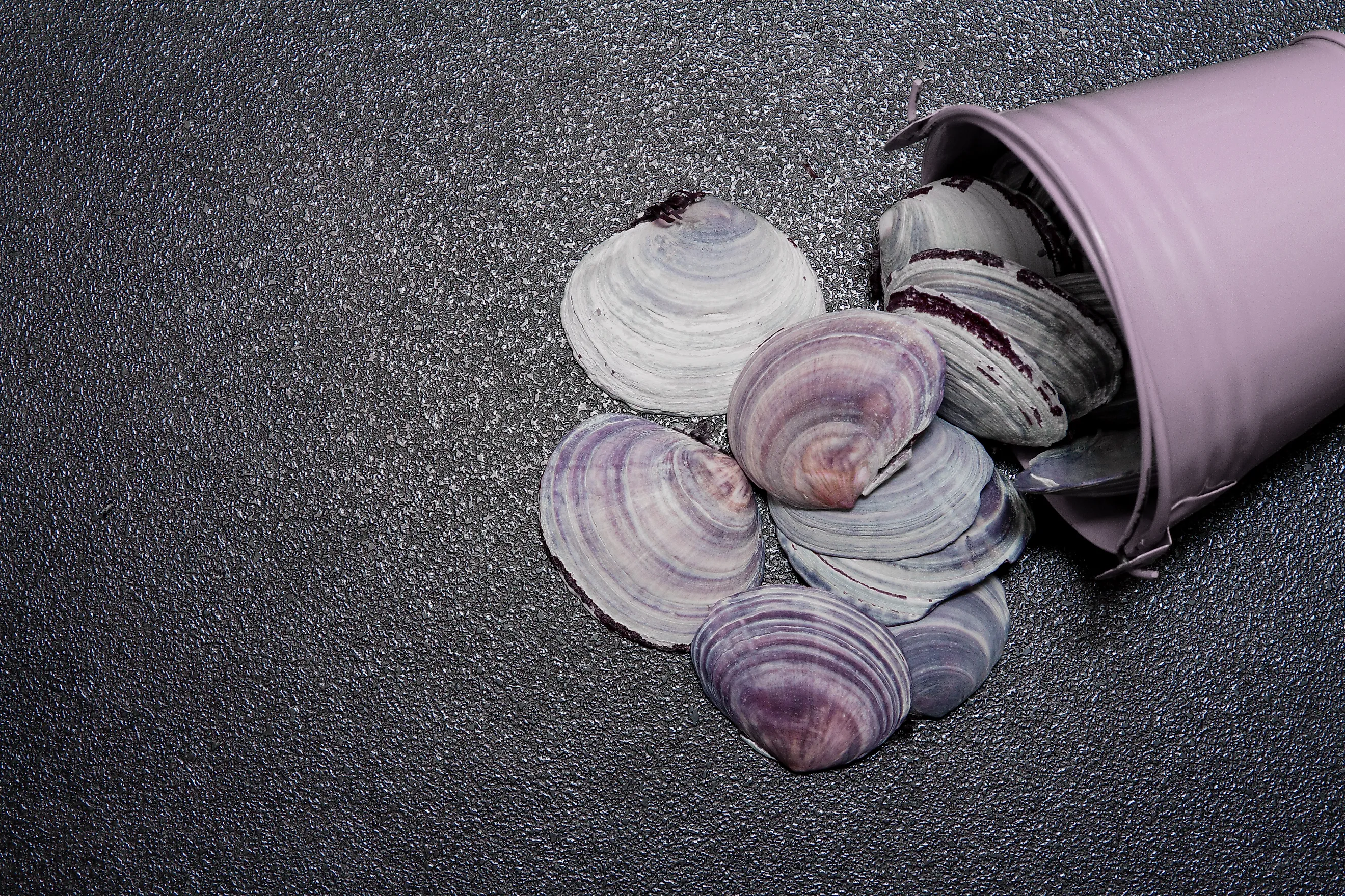 Clam shells spilling out of a metal bucket