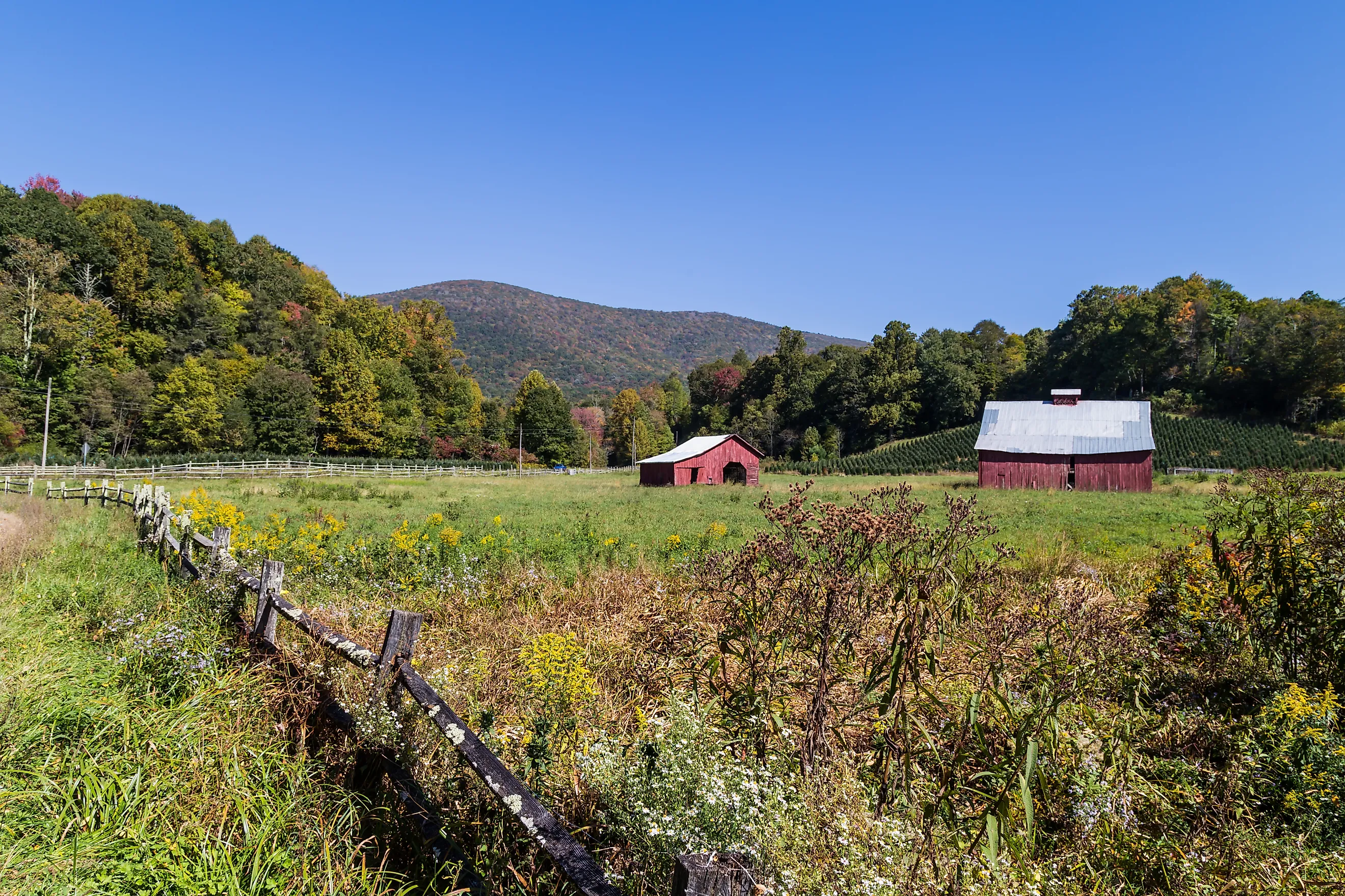 The Virginia Creeper National Recreation Trail in autumn in Abingdon, Virginia.