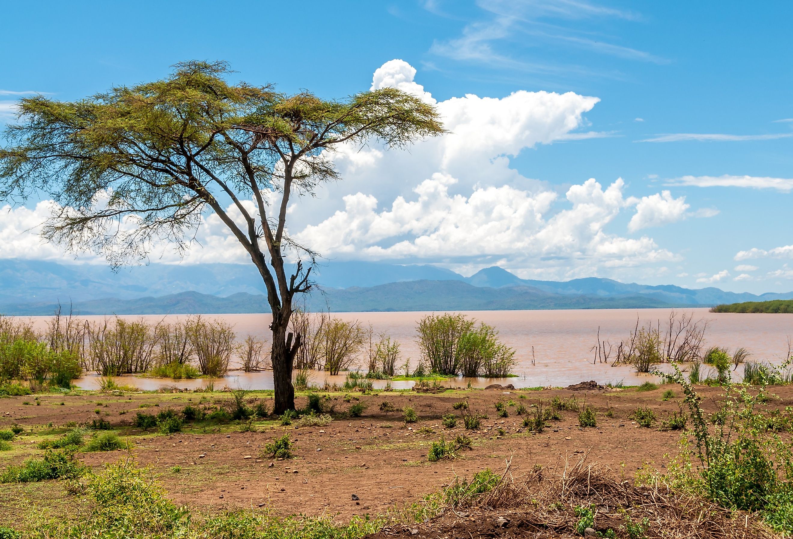 Lake Abaya near Arba Minch in Nechisar, Ethiopia.