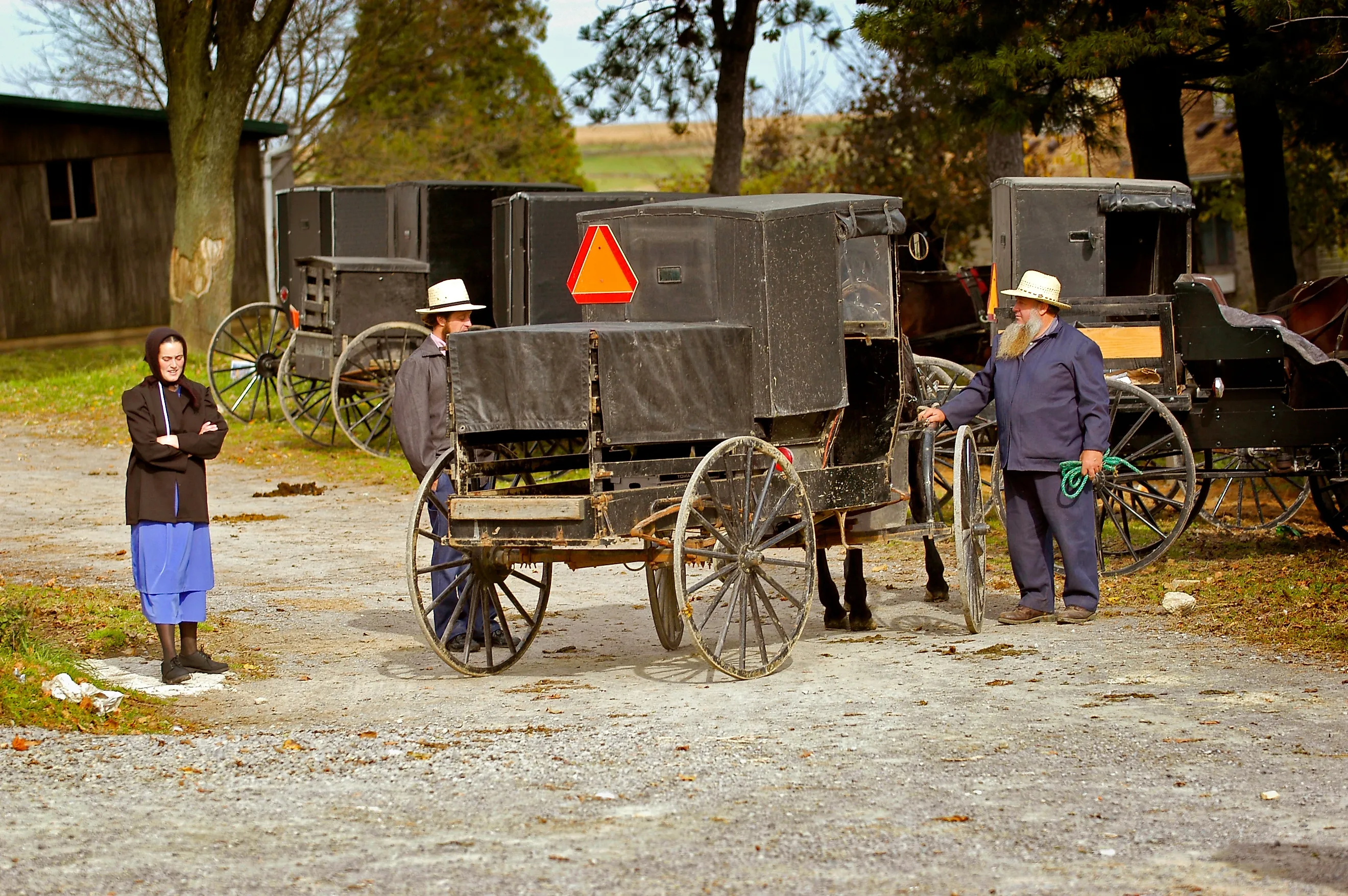 Amish buggies in Millersburg, Ohio. Dennis MacDonald / Shutterstock.com.