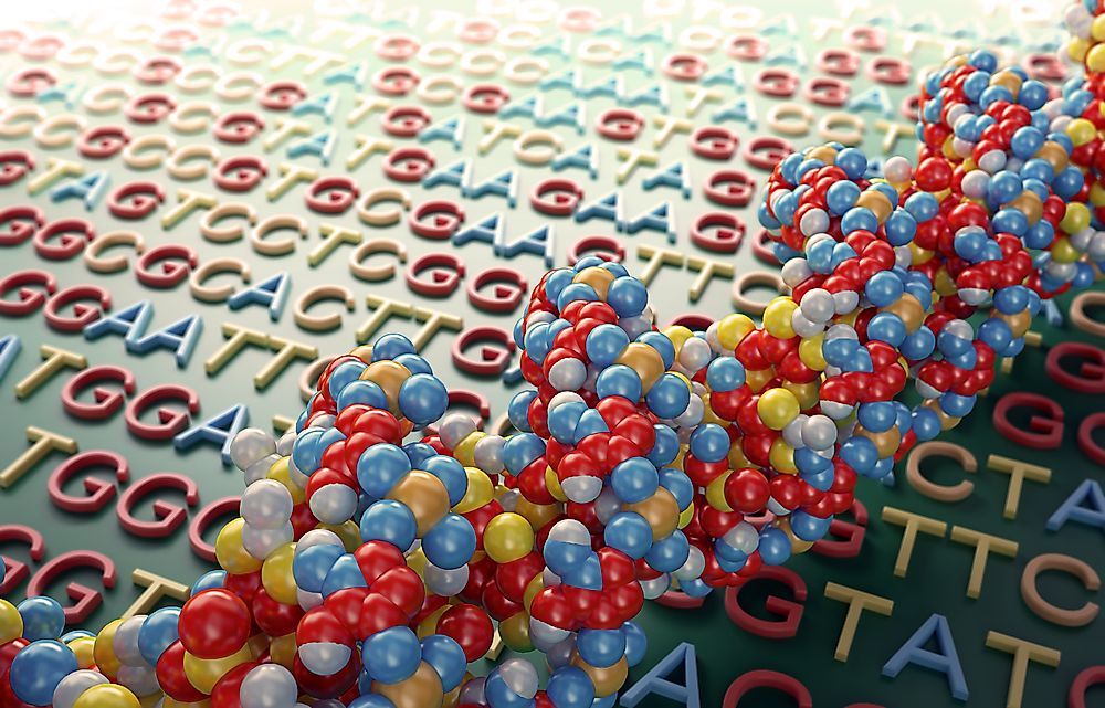 In the 1970s, one man started sequencing a genome of a virus.