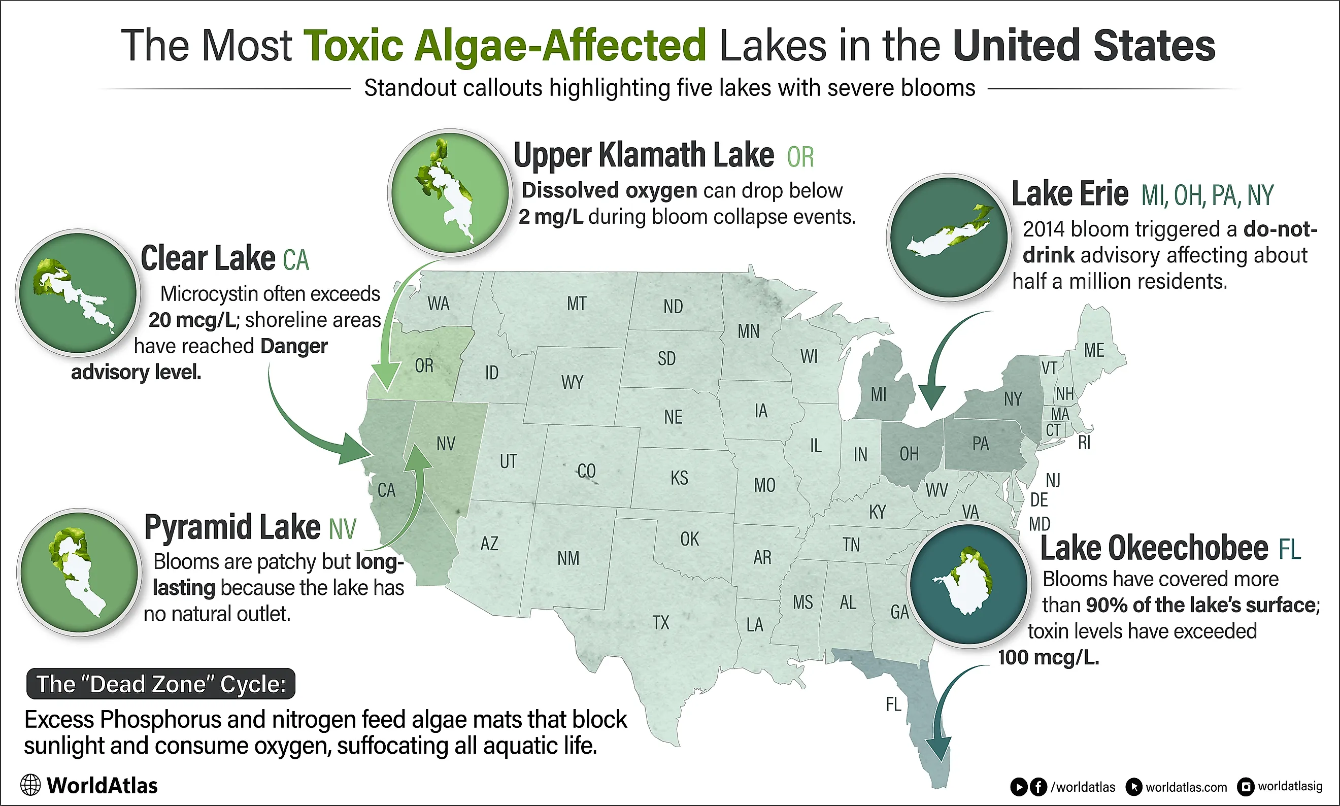 Infographic showing the most toxic algae-affected lakes in the United States.