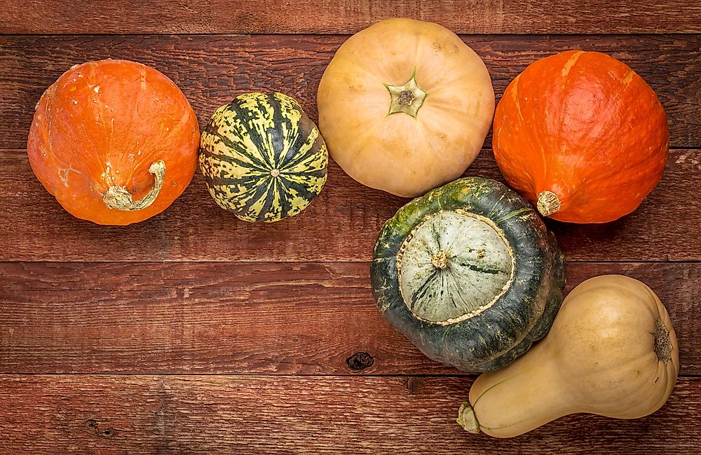 Winter squash is considered to be one of the "three sisters" crops.