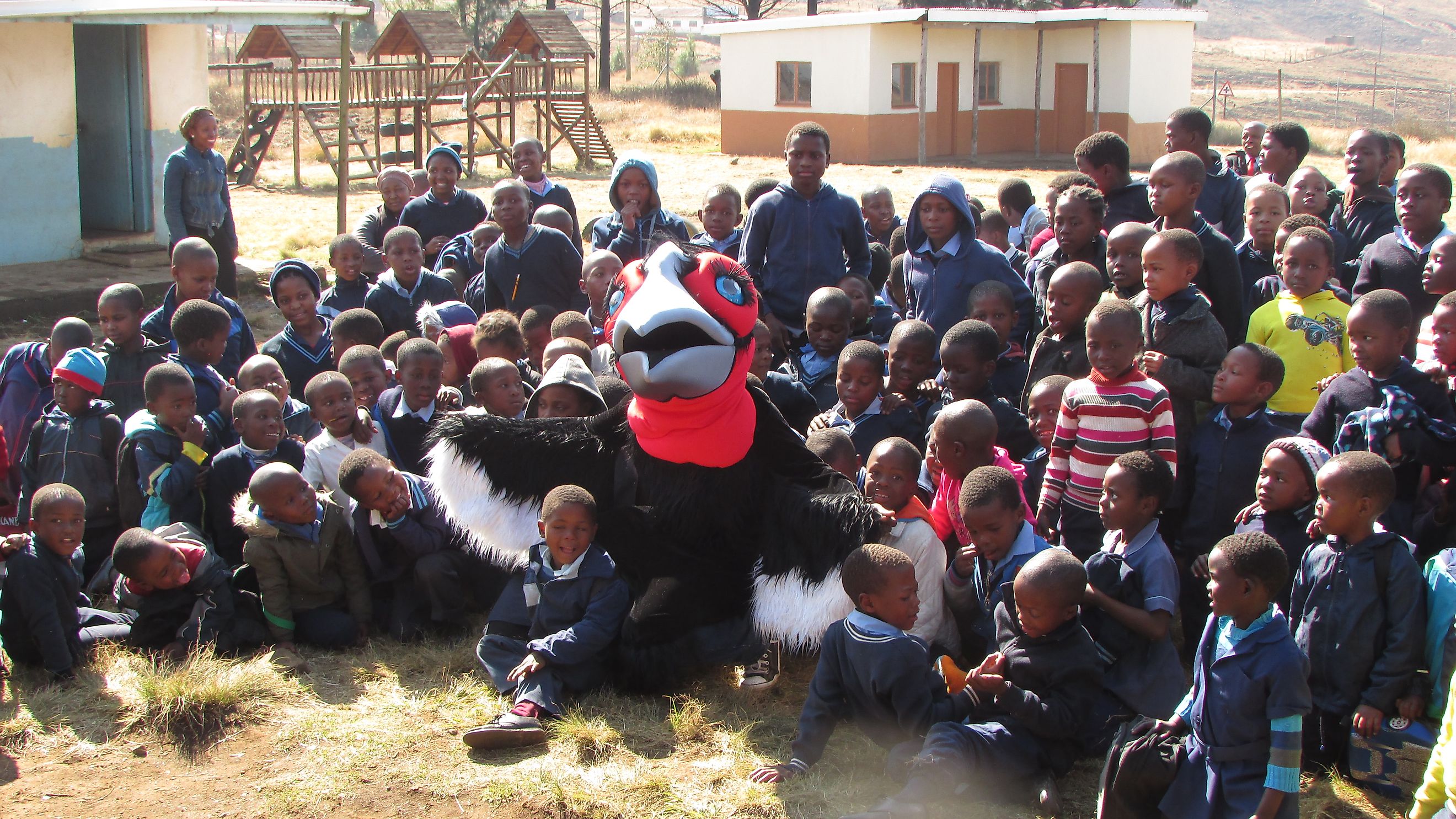 Educational program by Mabula Ground Hornbill Project to raise awareness about the conservation of Southern ground hornbills in Africa. Image by: ©NthabisengMonama 