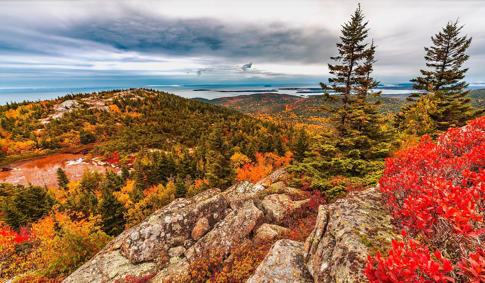Autumn fall colors in Acadia National Park Island.