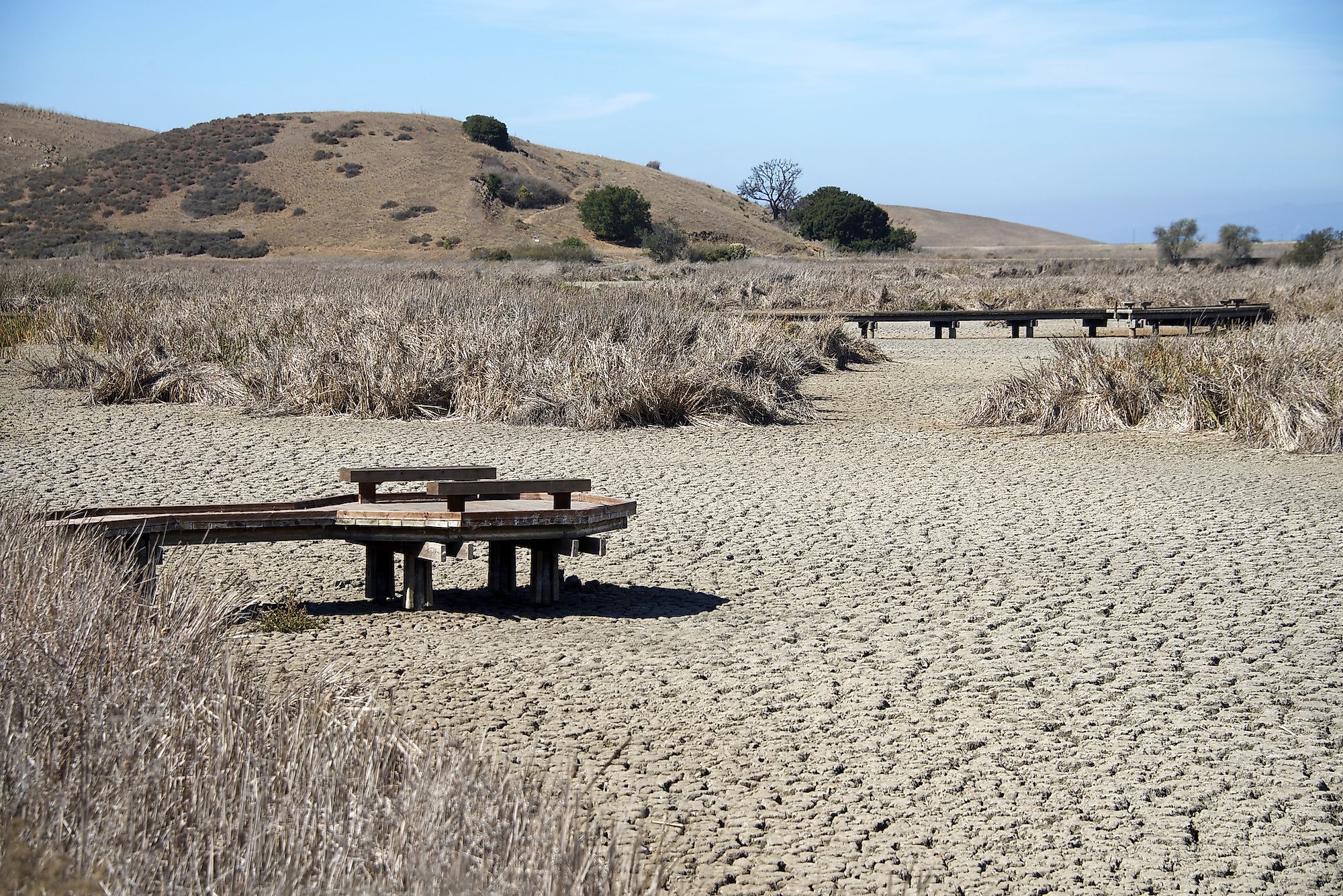 What Are The Major Threats To Wetland Ecosystems Around The World