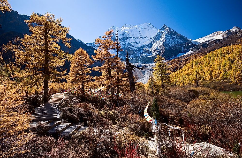Autumn in the Yading Nature Reserve.