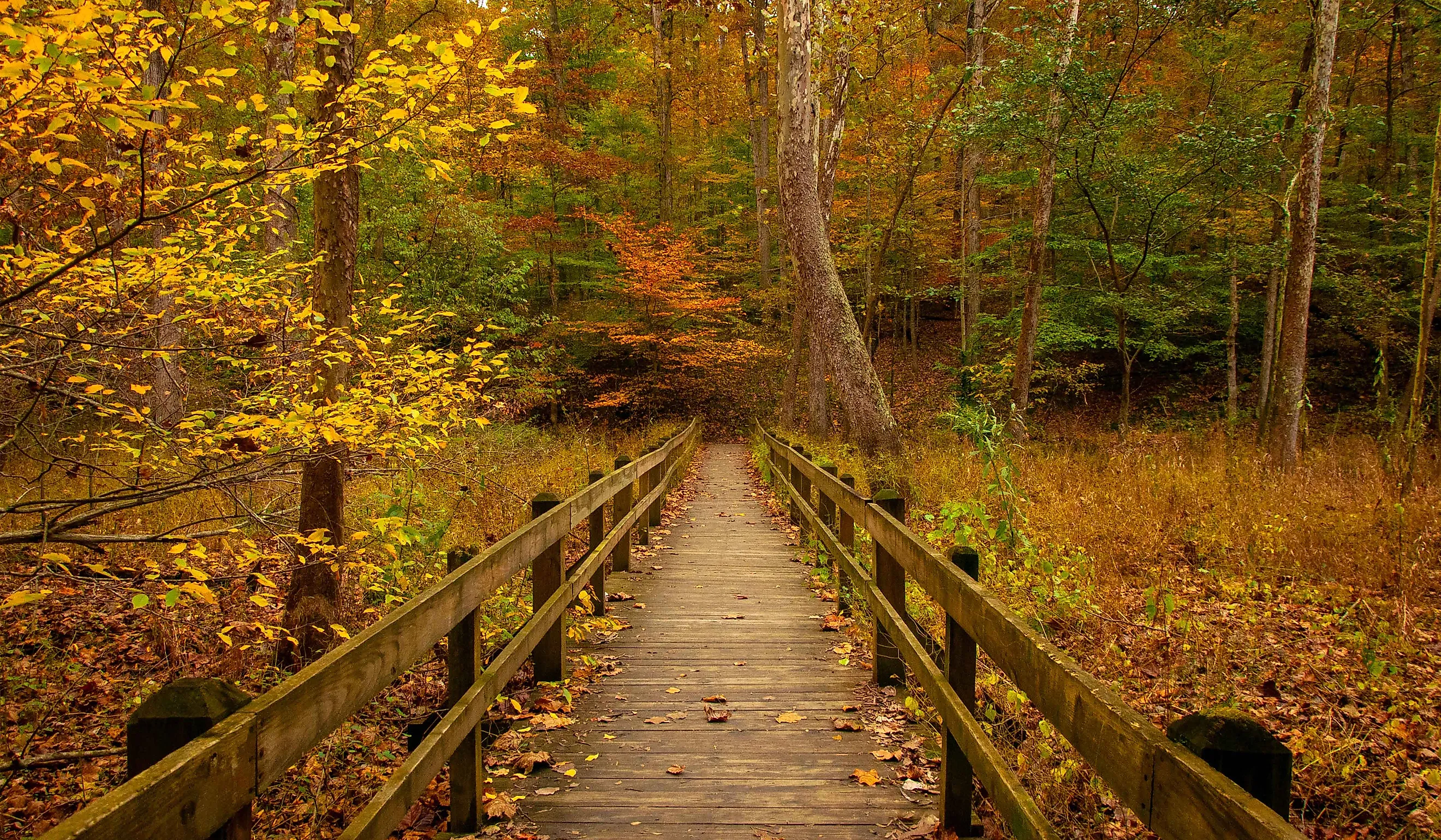 Nashville, Indiana / United States. Editorial credit: Michele Korfhage / Shutterstock.com
