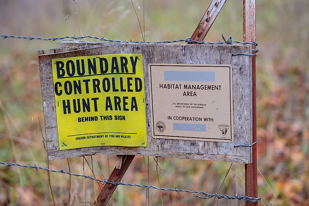 The North Bank Habitat Management Area was instrumental in the protection of the Columbian white-tailed deer. Editorial credit: Joshua Rainey Photography / Shutterstock.com