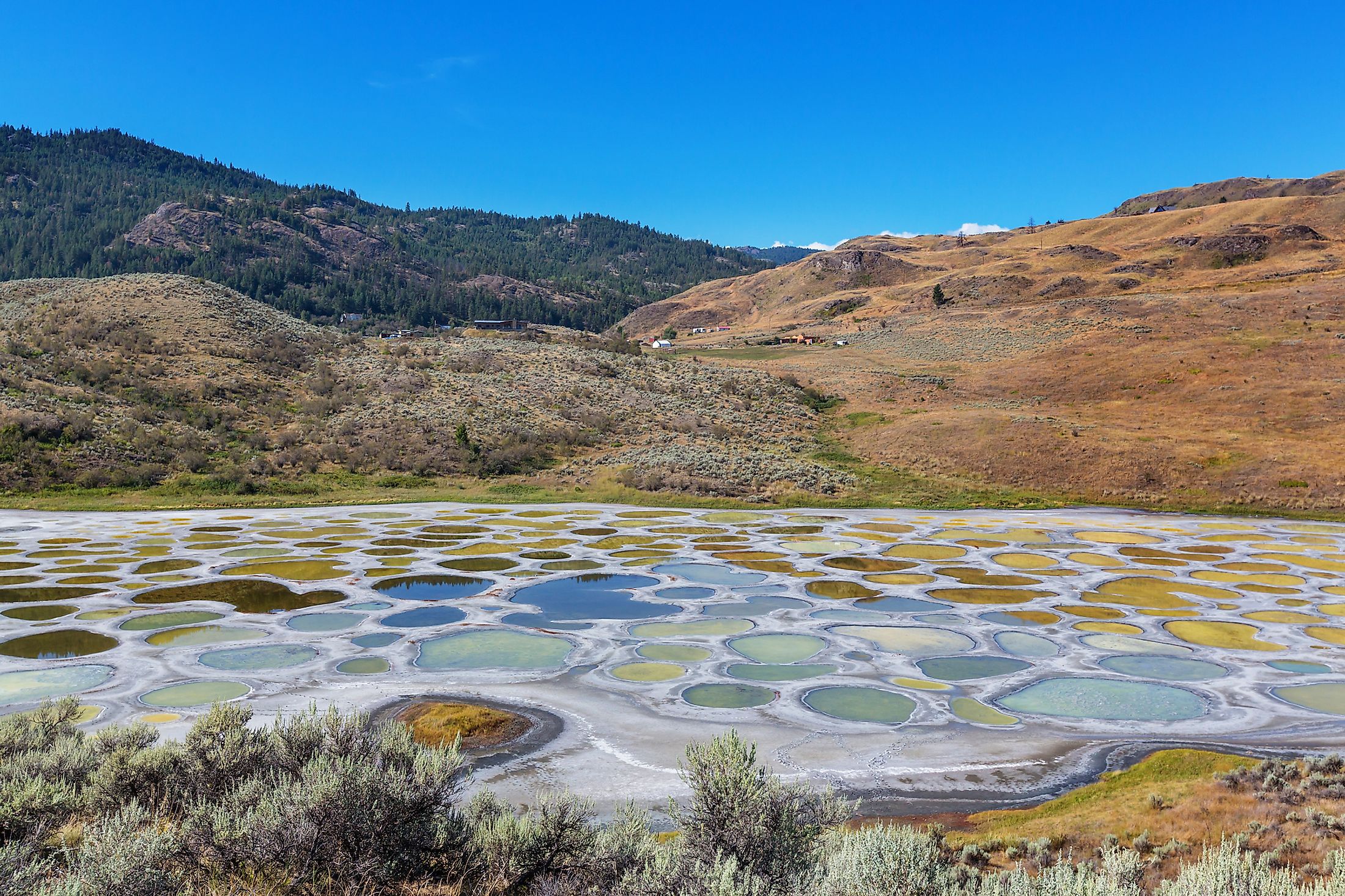 Spotted Lake in British Columbia.