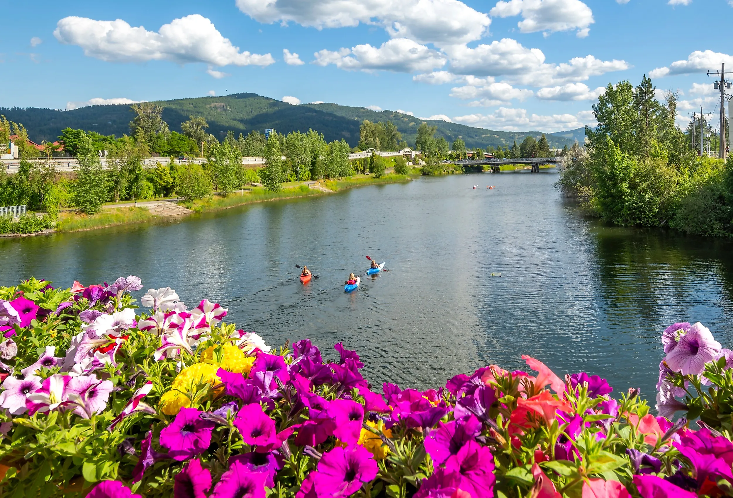 Kayakers enjoy a summer day on Sand Creek River and Lake Pend Oreille in the downtown area of Sandpoint, Idaho. Image Credits: Kirk Fisher via Shutterstock