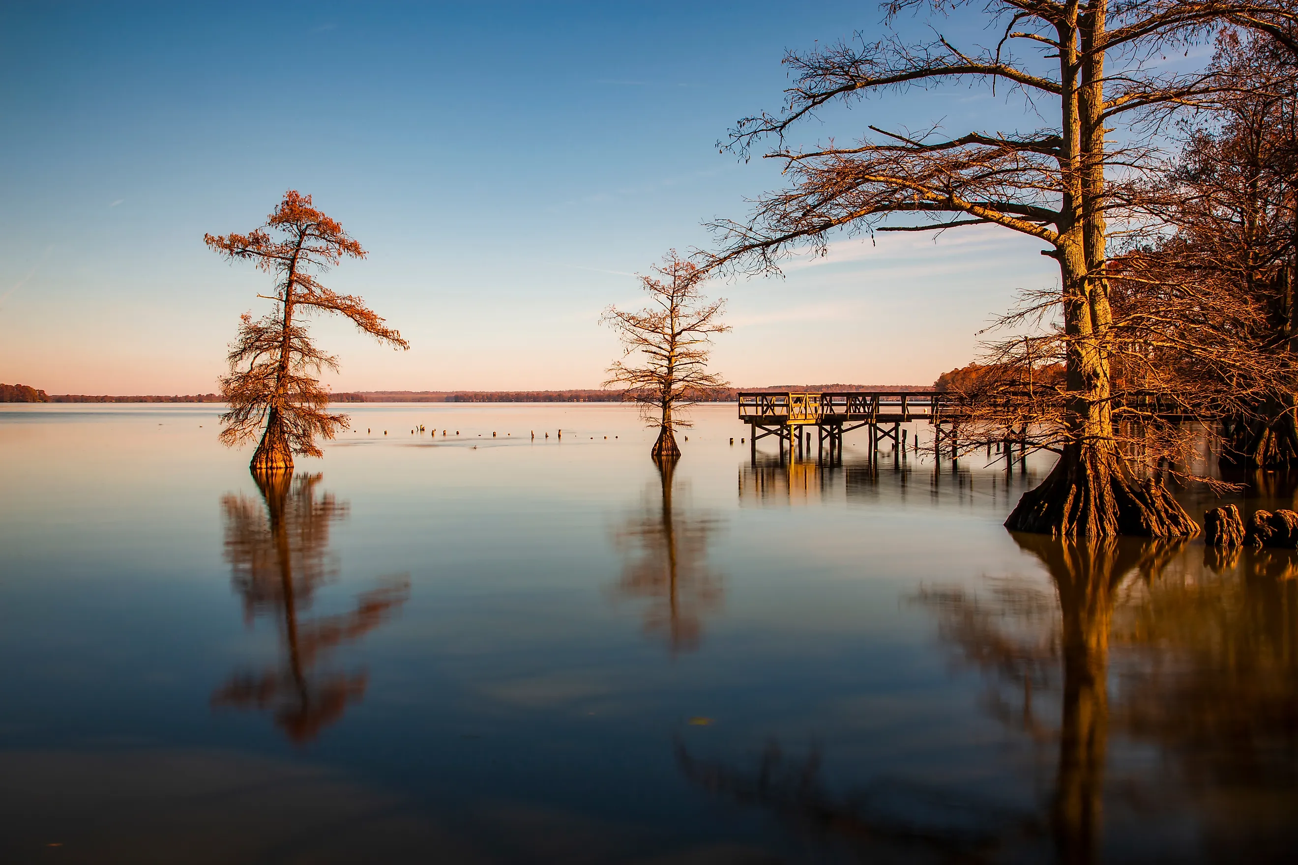 Landscapes of Reelfoot Lake Tennessee in Winter