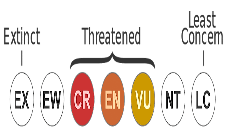 The major IUCN Red List Catgories