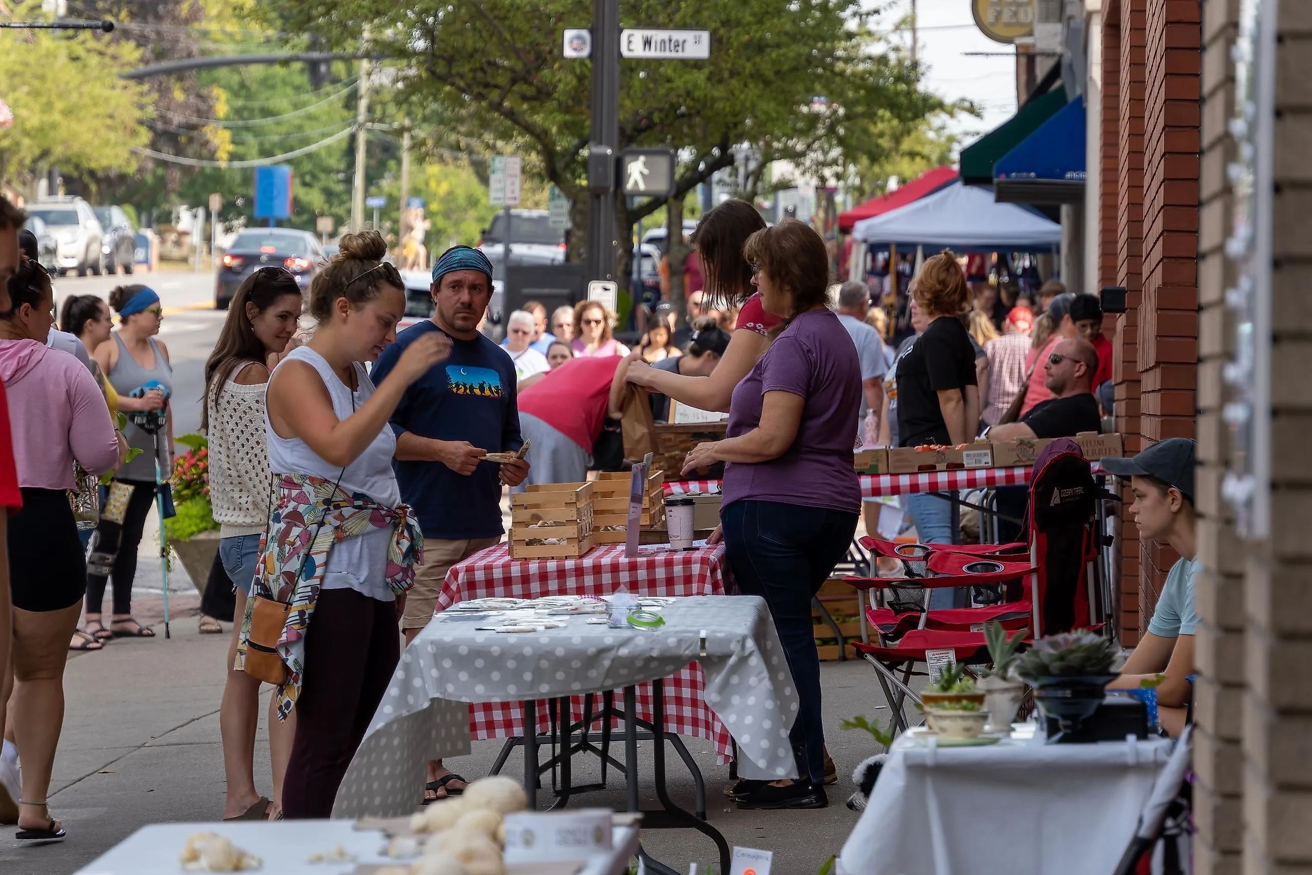 Farmers market in Delaware, Ohio. Image credit arthurgphotography via Shutterstock.com