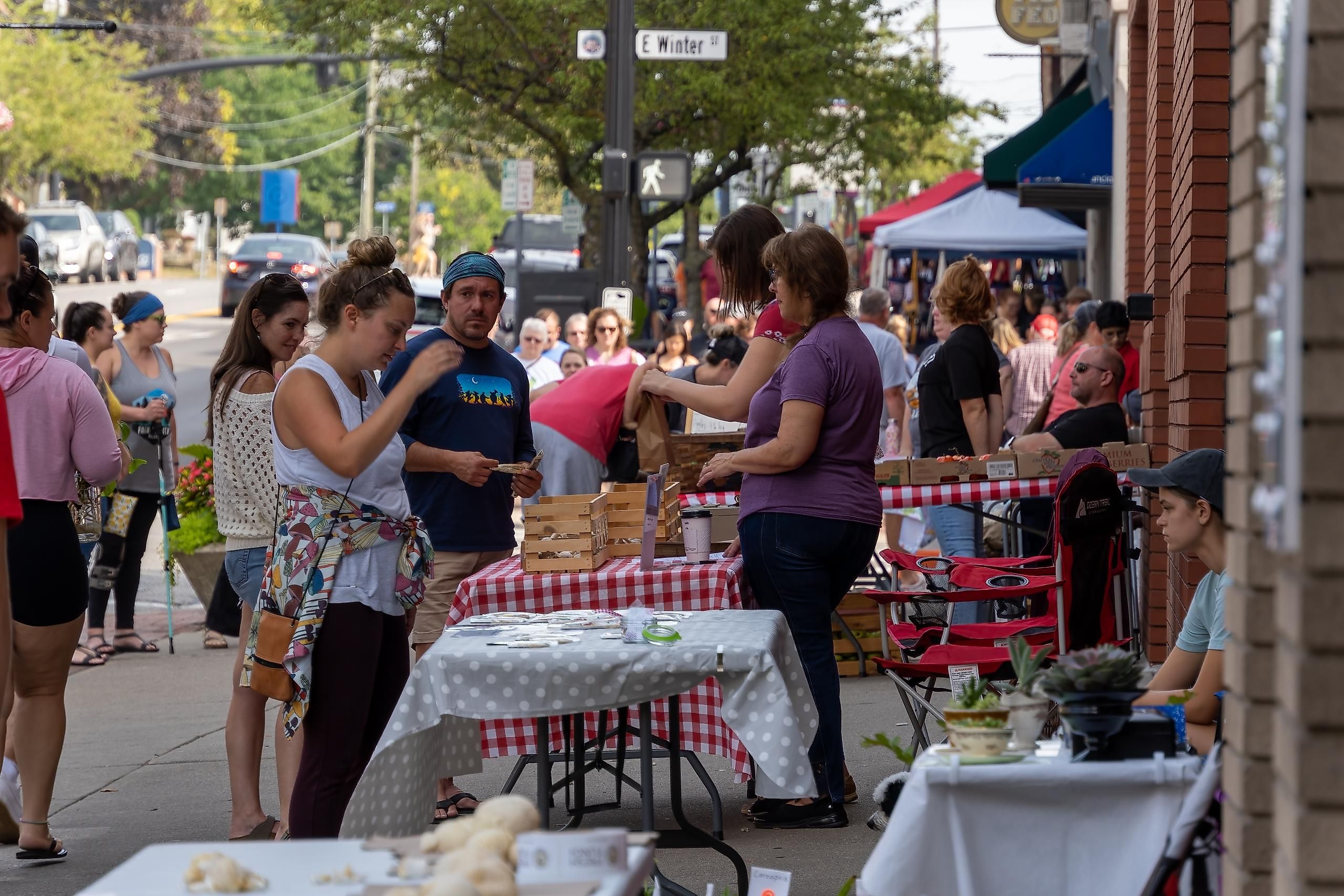 Farmers market in Delaware, Ohio. Image credit arthurgphotography via Shutterstock.com
