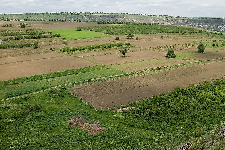 With low risk premiums on loans and land privatization, more and more Moldovan farmers are owning the land they work.