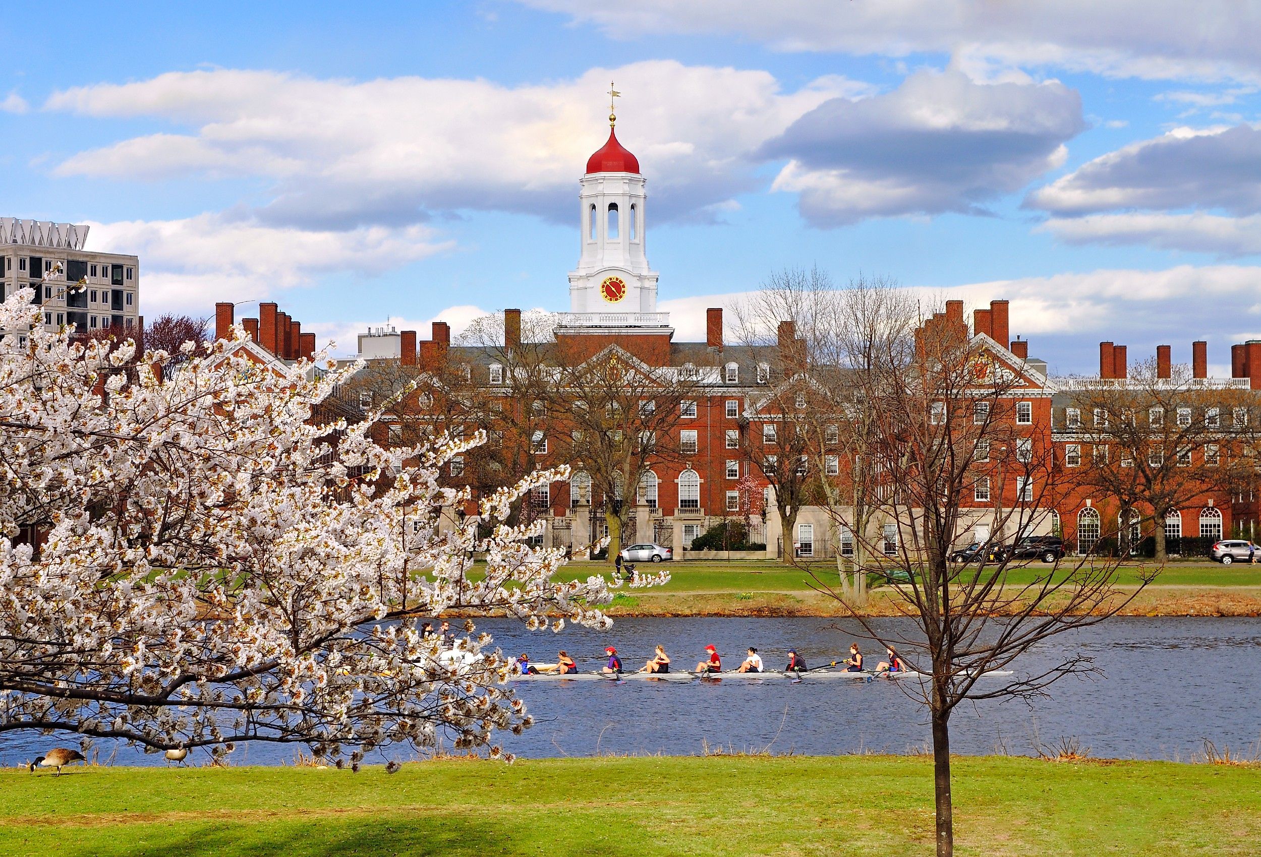 Harvard University, Cambridge, Massachusetts in the spring.