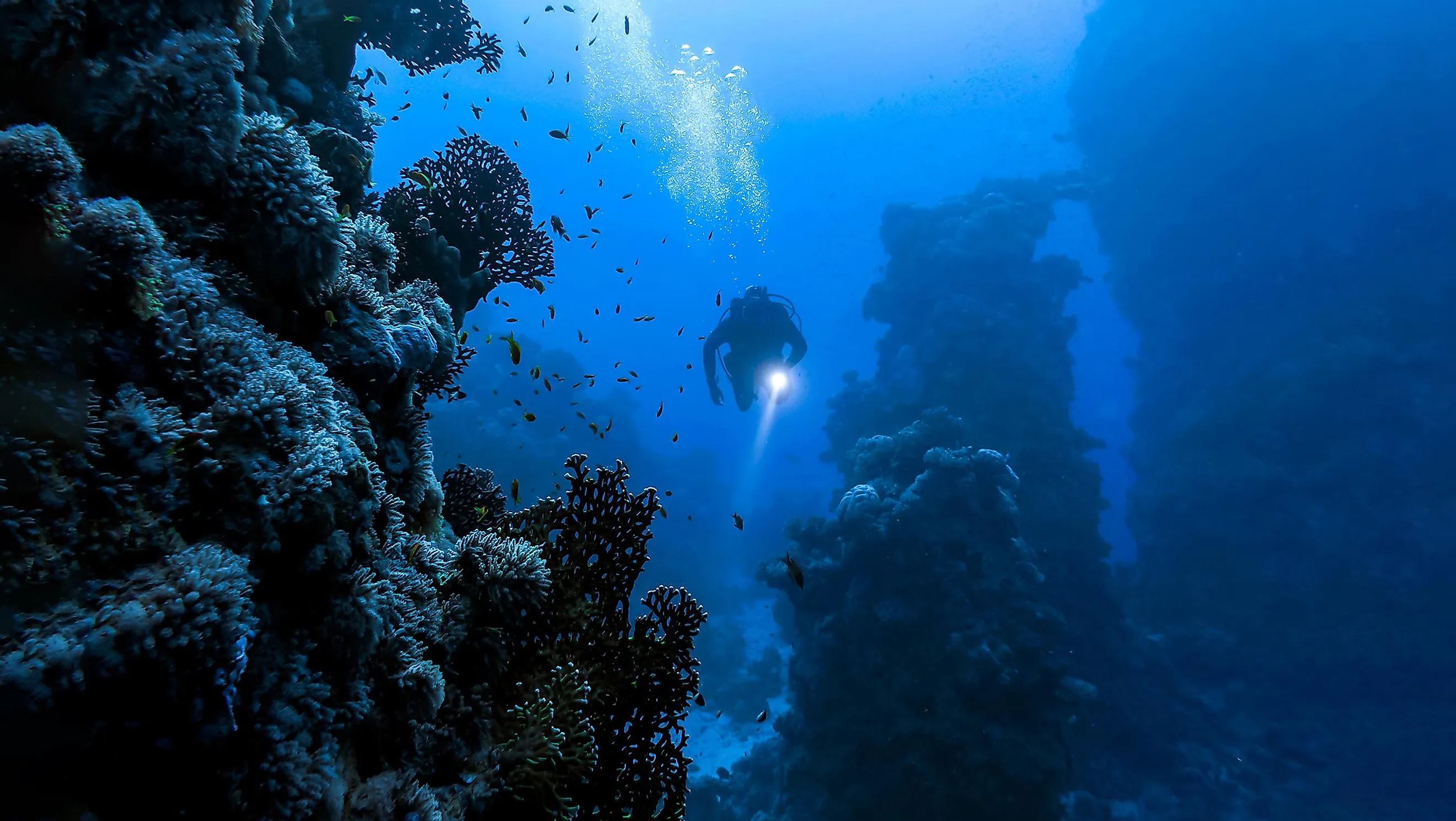 A scuba diving swimming in the depths.