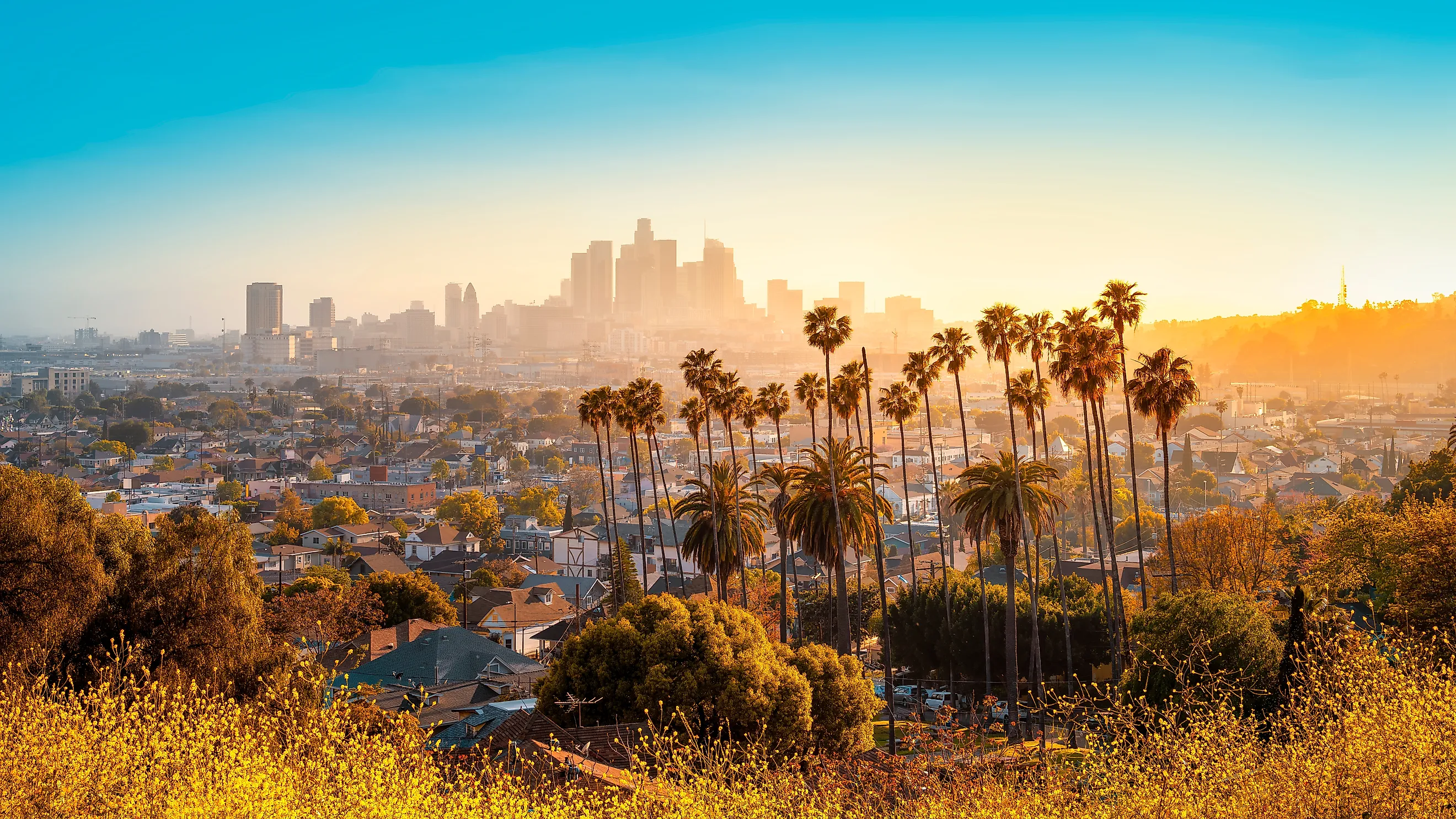 The skyline of Los aAngeles during sunset. 