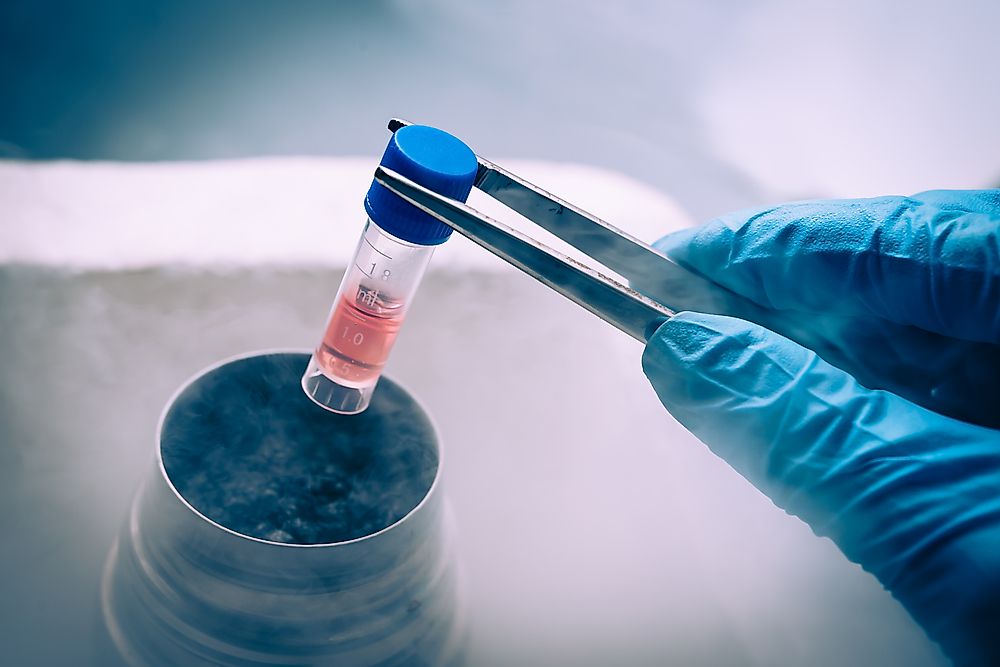 Stem cell research is currently being funded in many countries.