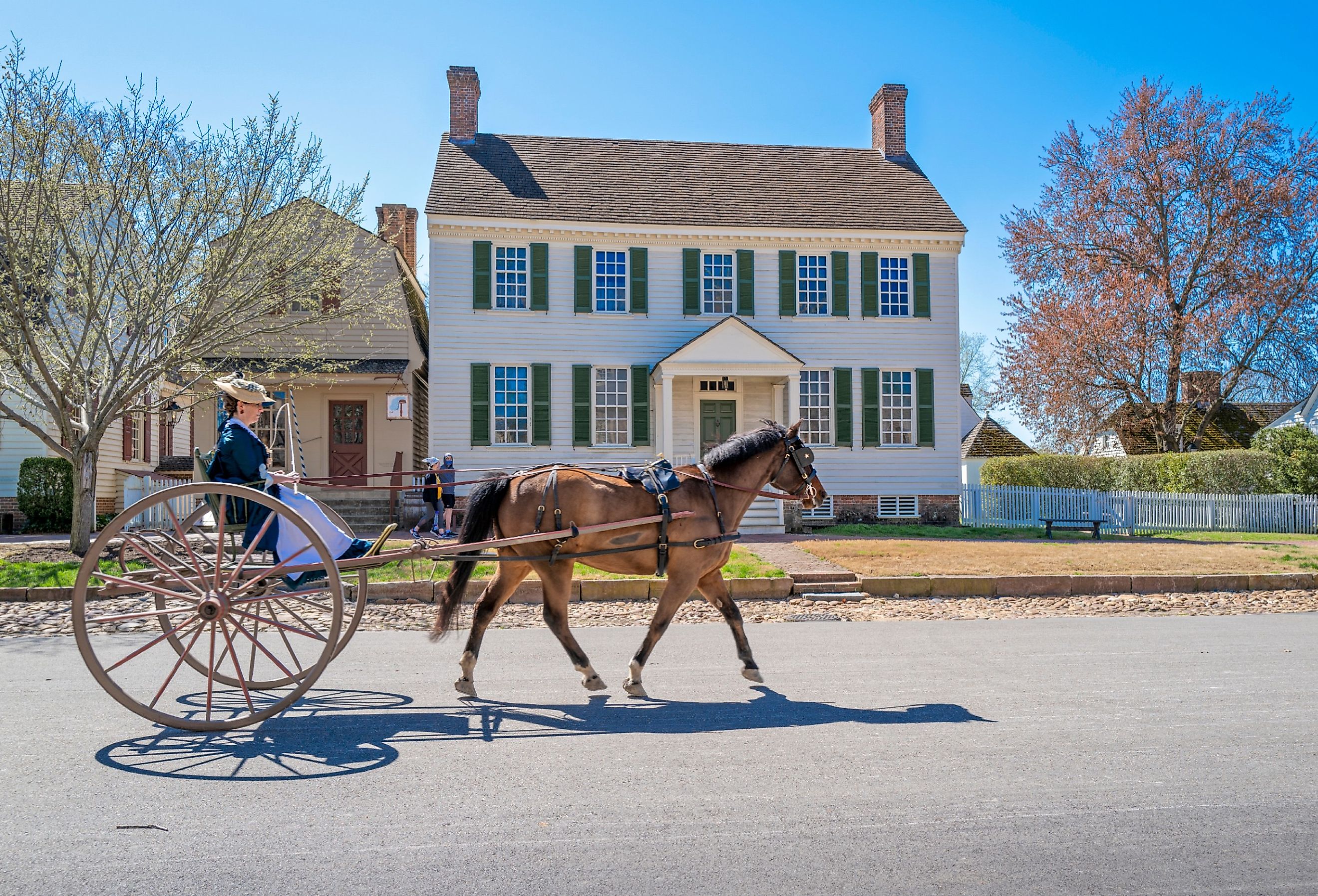 Woman riding on a horse and buggy in colonial Williamsburg, Virginia, at the end of winter.