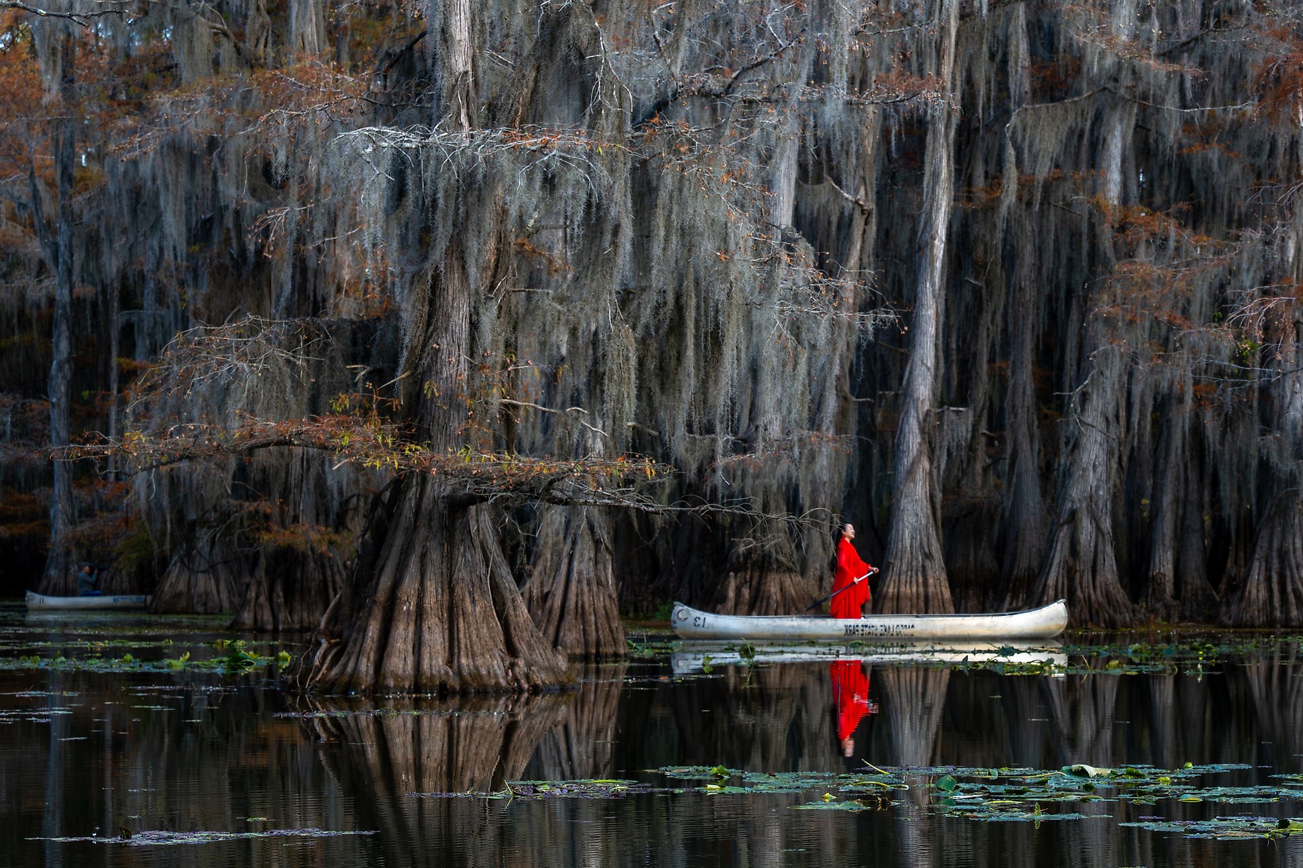 Woman in bright red dress standing in a canoe paddling under Bald Cypress Trees and Spanish Moss on Caddo Lake in Texas