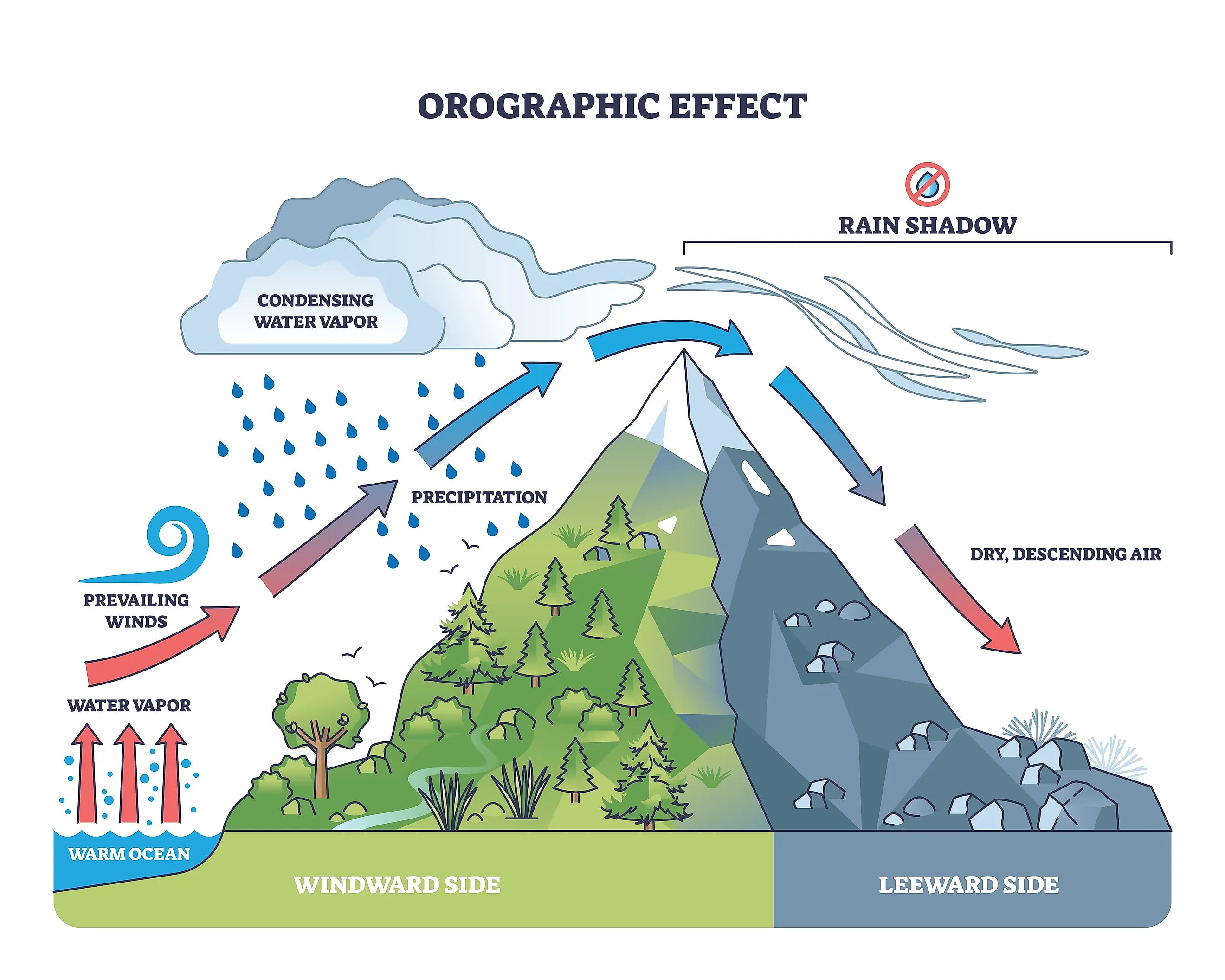 Orographic effect shows moist air rising over mountains, causing rain on the windward side and dry air on the leeward. 
