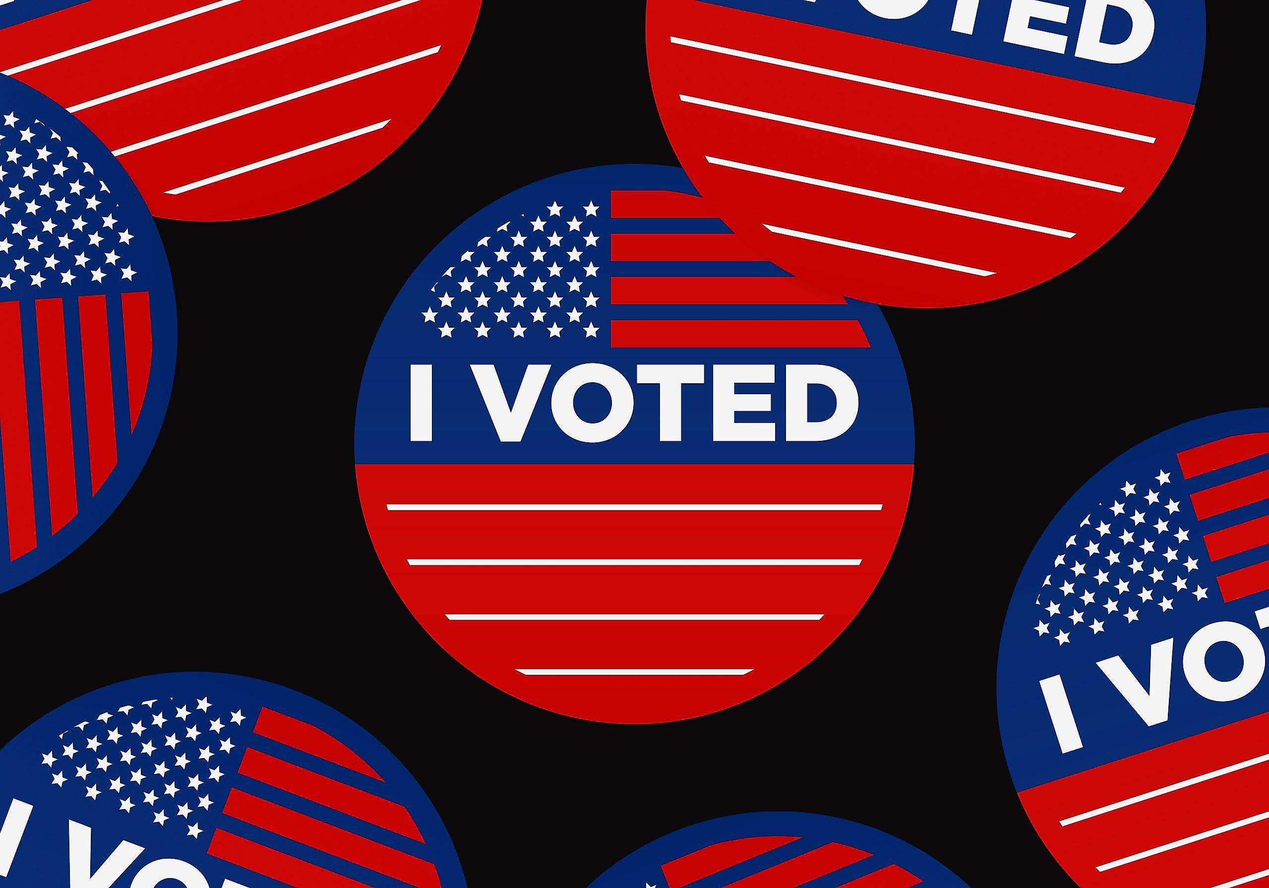 Super Tuesday was held on March 3, 2020. Photo by visuals on Unsplash