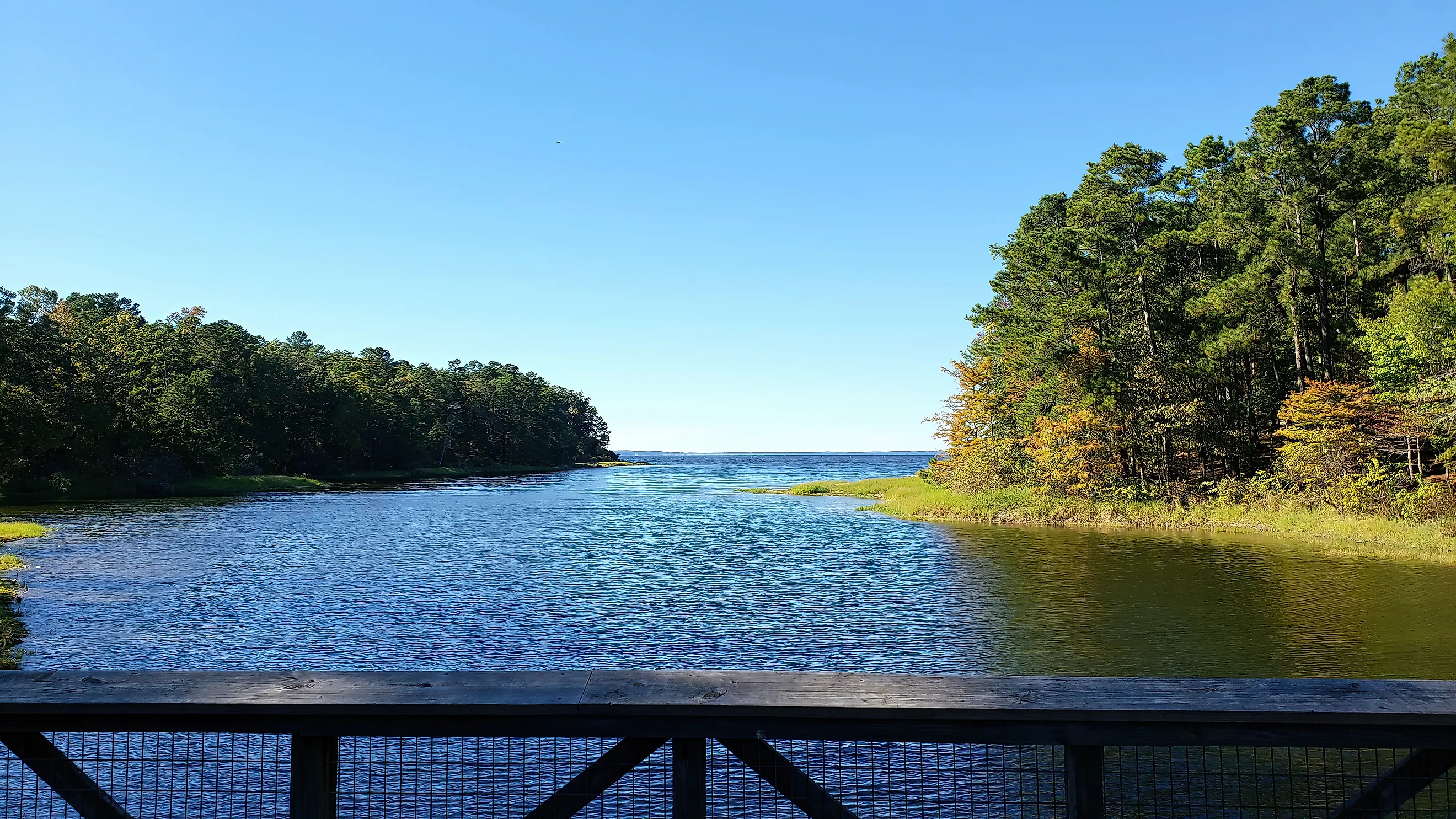 South Toledo Bend State Park