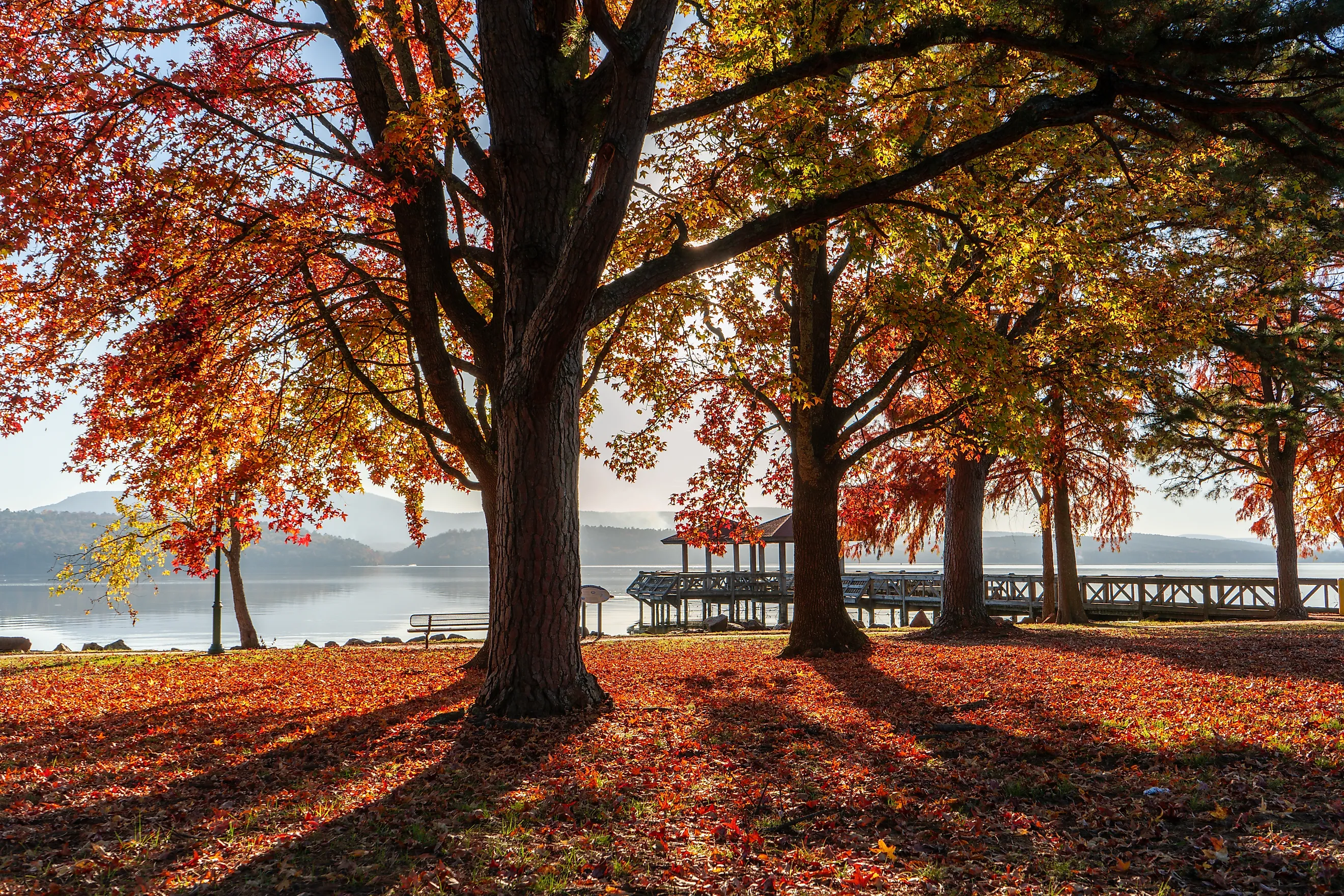 Fall colors in Lake Dardanelle State Park, Arkansas. Image credit: Tammy Chesney via Shutterstock.com.