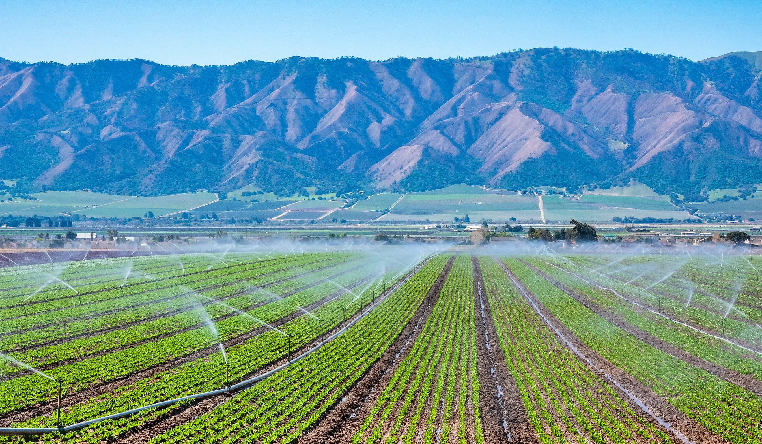 A field irrigation sprinkler system waters rows of lettuce crops on farmland in the Salinas Valley of central California, in Monterey County. 