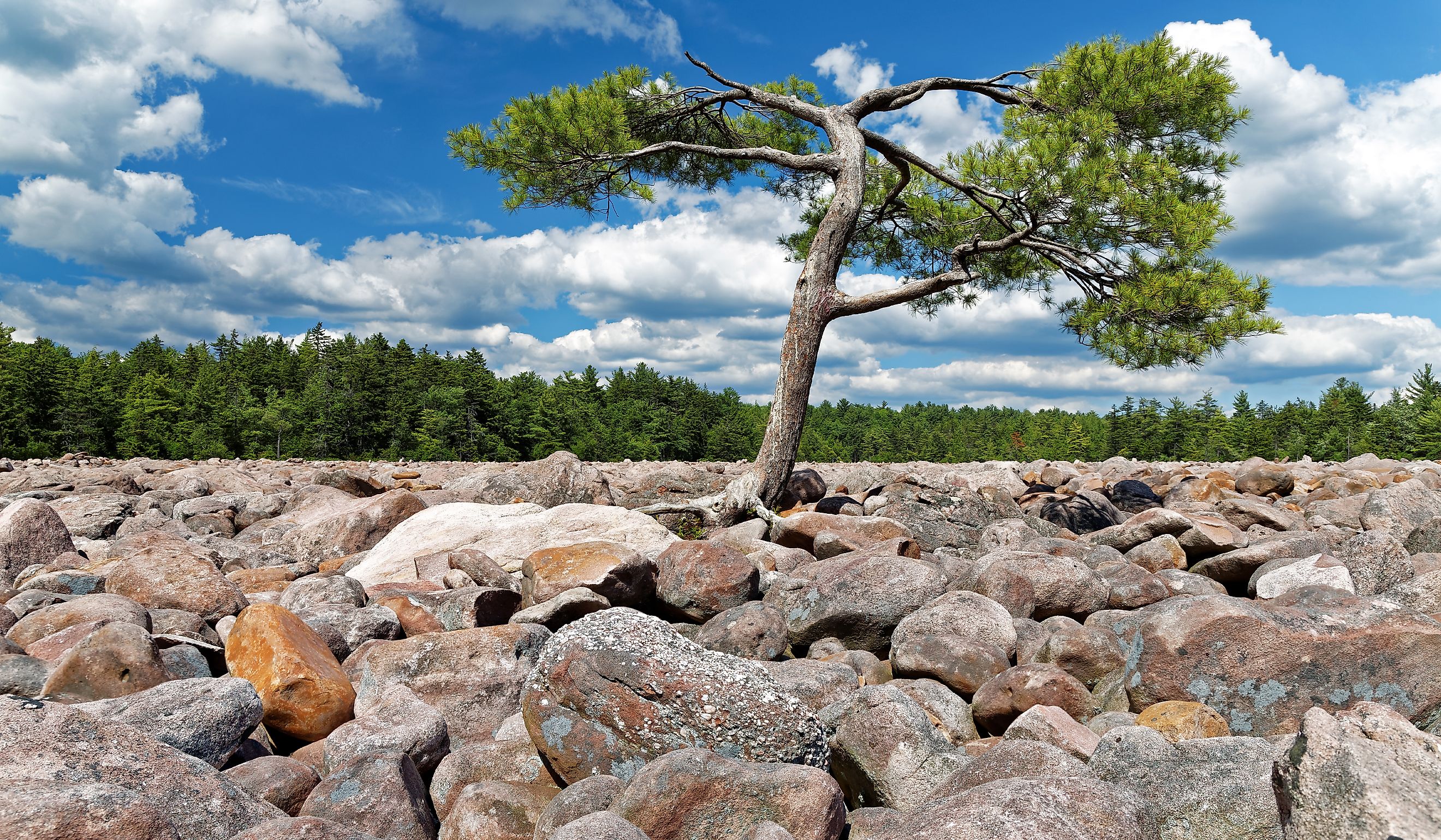 The Boulder Field is a geological feature at Hickory Run State Park, Carbon County, Pennsylvania, USA.