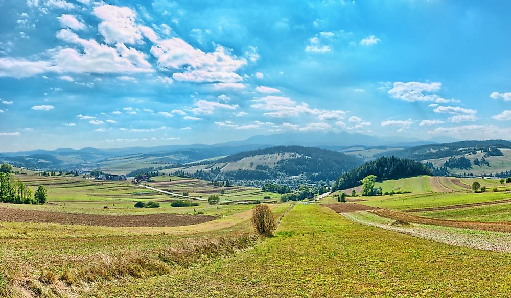 The Proto-Slavic word "pole" means field, plain, or open area.