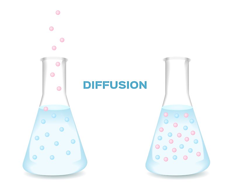The diffusion process results in a uniform distribution of particles.