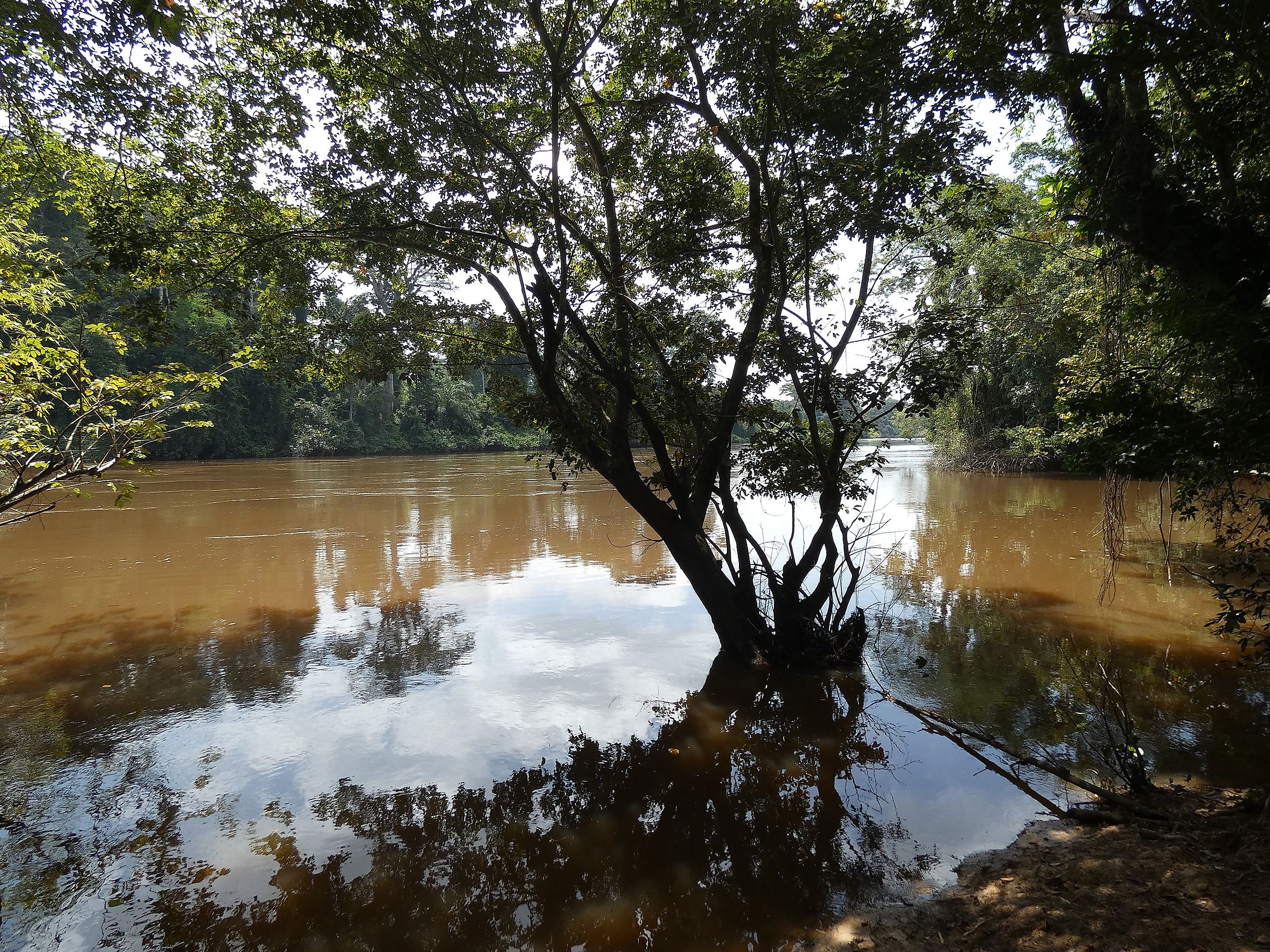 The Cavalla River in Africa.