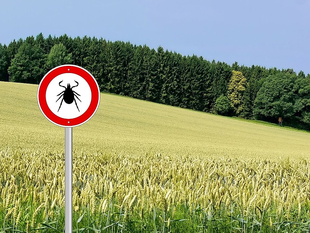 A sign warning of possible ticks in the area.