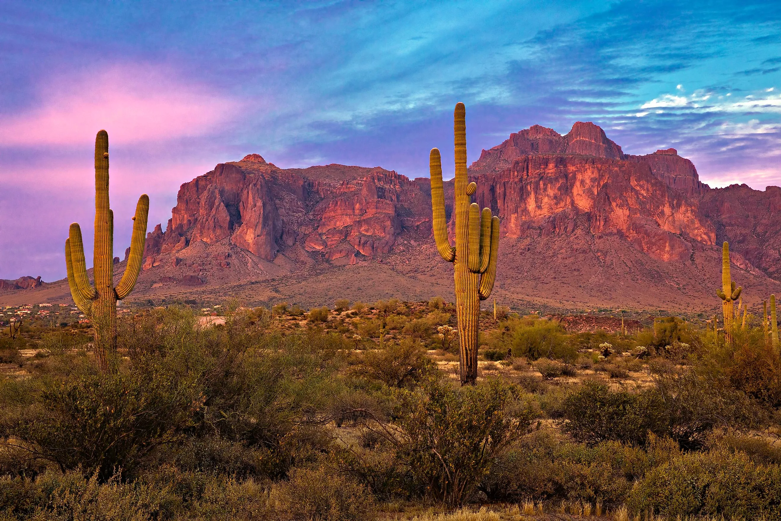 sonoran desert tourism