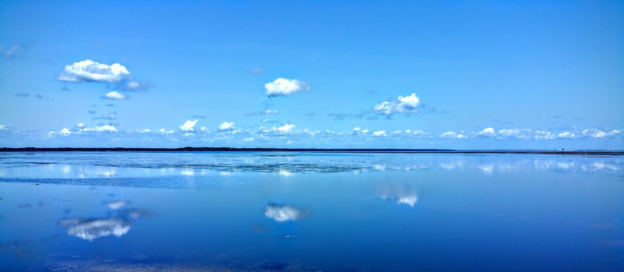 Beautiful scene looking across Lake George in the Ocala National Forest, Ocala, Florida. Editorial credit: lyman michael hatcher / Shutterstock.com