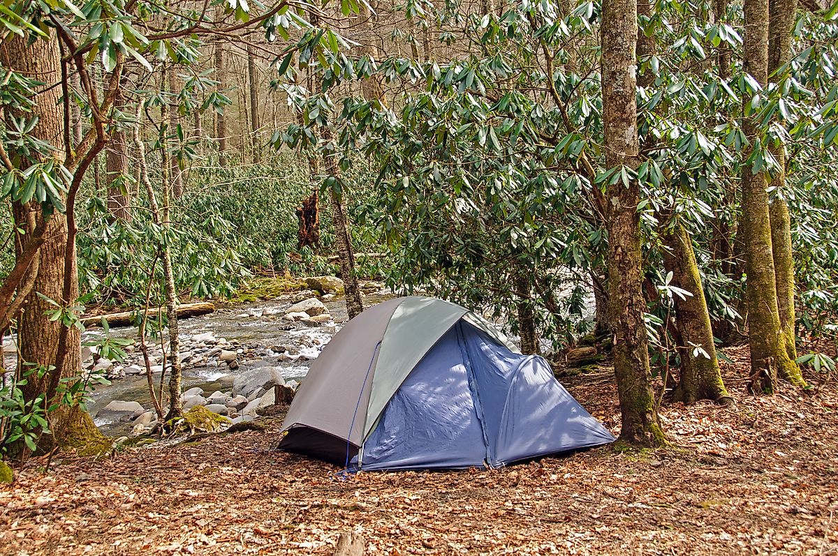 Campsite on Cabin Creek in the Great Smoky Mountains. Image credit: Wildnerdpix/Shutterstock.com