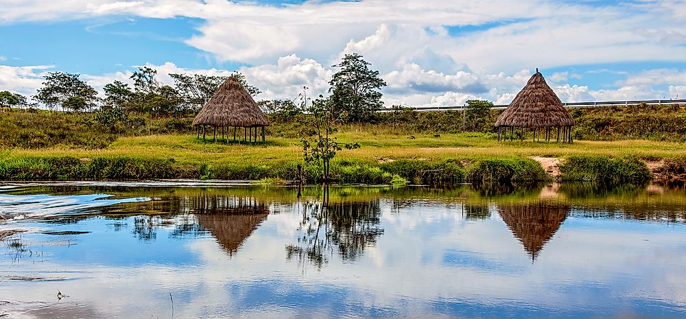 There are a number of plants endemic to the leafy landscapes of Venezuela.