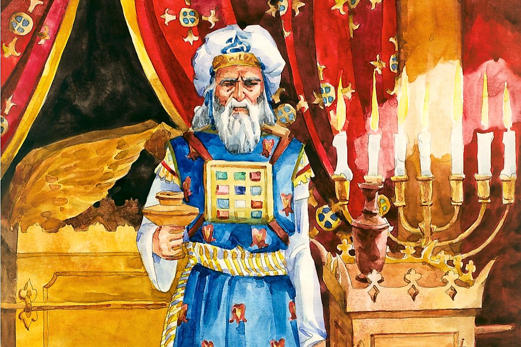 A watercolor illustration of a sarduccee.
