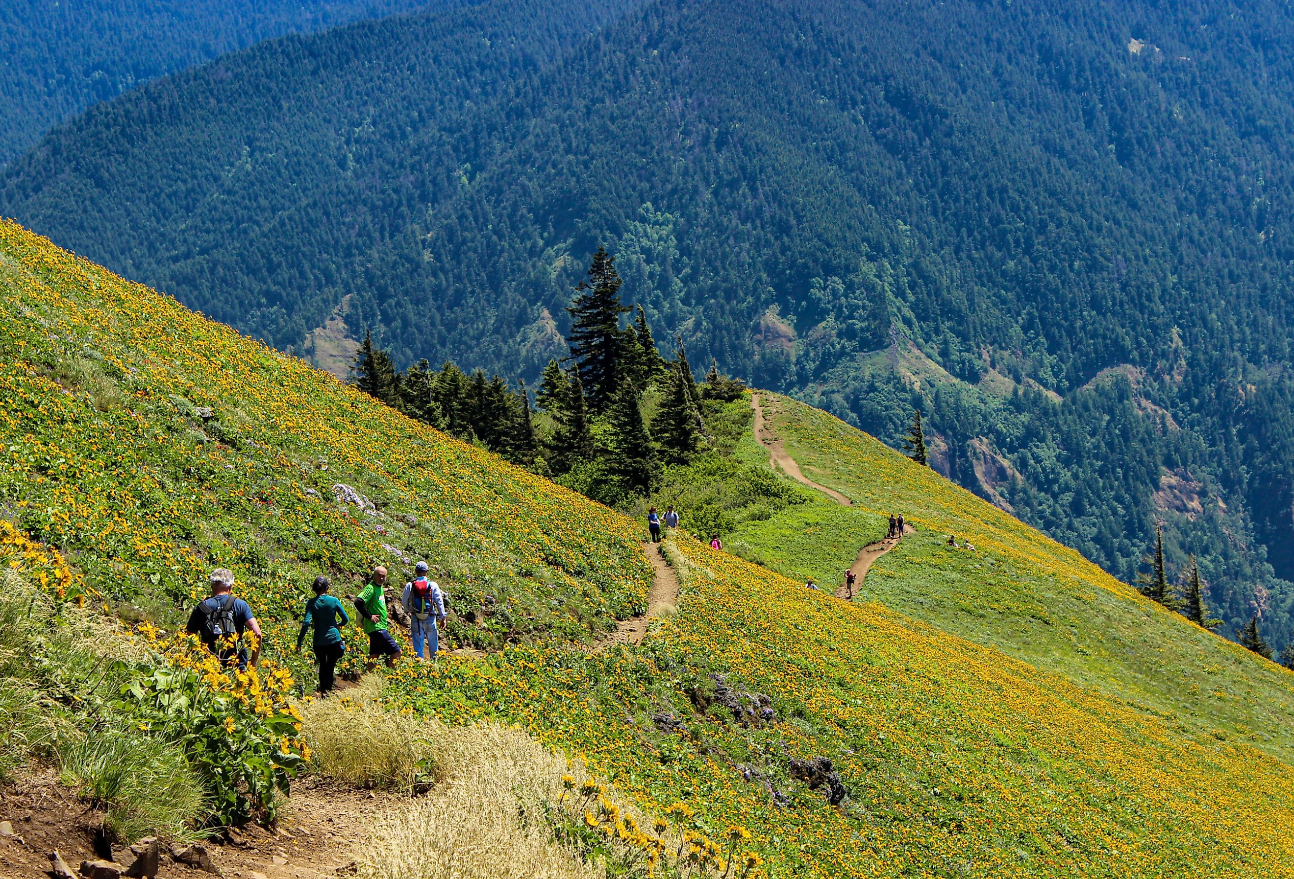 Hiking in the Columbia Valley